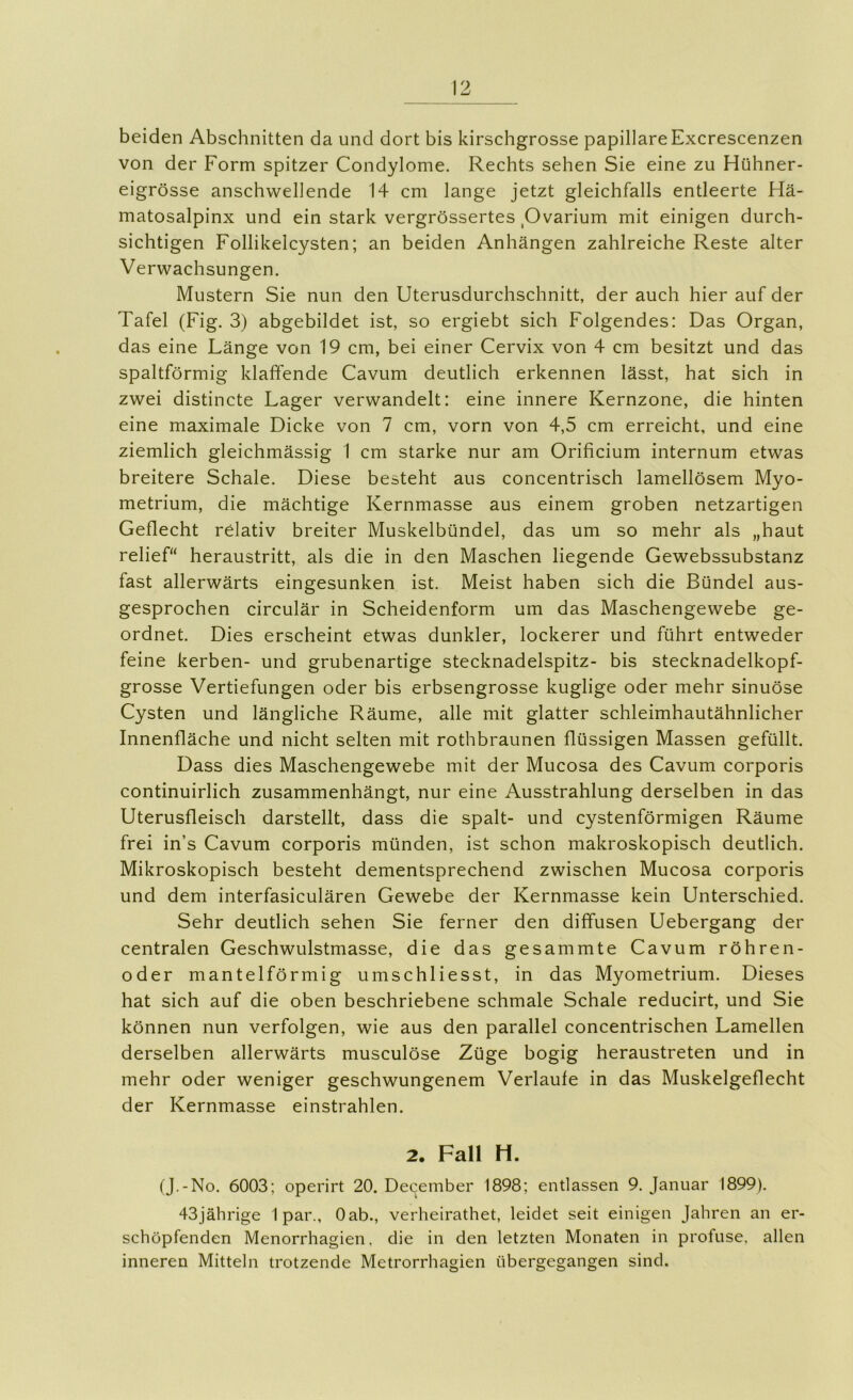 beiden Abschnitten da und dort bis kirschgrosse papillareExcrescenzen von der Form spitzer Condylome. Rechts sehen Sie eine zu Hühner- eigrösse anschwellende 14 cm lange jetzt gleichfalls entleerte Hä- matosalpinx und ein stark vergrössertes Ovarium mit einigen durch- sichtigen Follikelcysten; an beiden Anhängen zahlreiche Reste alter Verwachsungen. Mustern Sie nun den Uterusdurchschnitt, der auch hier auf der Tafel (Fig. 3) abgebildet ist, so ergiebt sich Folgendes: Das Organ, das eine Länge von 19 cm, bei einer Cervix von 4 cm besitzt und das spaltförmig klaffende Cavum deutlich erkennen lässt, hat sich in zwei distincte Lager verwandelt: eine innere Kernzone, die hinten eine maximale Dicke von 7 cm, vorn von 4,5 cm erreicht, und eine ziemlich gleichmässig 1 cm starke nur am Orificium internum etwas breitere Schale. Diese besteht aus concentrisch lamellösem Myo- metrium, die mächtige Kernmasse aus einem groben netzartigen Geflecht relativ breiter Muskelbündel, das um so mehr als „haut relief“ heraustritt, als die in den Maschen liegende Gewebssubstanz fast allerwärts eingesunken ist. Meist haben sich die Bündel aus- gesprochen circulär in Scheidenform um das Maschengewebe ge- ordnet. Dies erscheint etwas dunkler, lockerer und führt entweder feine kerben- und grubenartige stecknadelspitz- bis stecknadelkopf- grosse Vertiefungen oder bis erbsengrosse kuglige oder mehr sinuöse Cysten und längliche Räume, alle mit glatter schleimhautähnlicher Innenfläche und nicht selten mit rothbraunen flüssigen Massen gefüllt. Dass dies Maschengewebe mit der Mucosa des Cavum corporis continuirlich zusammenhängt, nur eine Ausstrahlung derselben in das Uterusfleisch darstellt, dass die spalt- und cystenförmigen Räume frei in’s Cavum corporis münden, ist schon makroskopisch deutlich. Mikroskopisch besteht dementsprechend zwischen Mucosa corporis und dem interfasiculären Gewebe der Kernmasse kein Unterschied. Sehr deutlich sehen Sie ferner den diffusen Uebergang der centralen Geschwulstmasse, die das gesammte Cavum röhren- oder mantelförmig umschliesst, in das Myometrium. Dieses hat sich auf die oben beschriebene schmale Schale reducirt, und Sie können nun verfolgen, wie aus den parallel concentrischen Lamellen derselben allerwärts musculöse Züge bogig heraustreten und in mehr oder weniger geschwungenem Verlaufe in das Muskelgeflecht der Kernmasse einstrahlen. 2. Fall H. (J.-No. 6003; operirt 20. December 1898; entlassen 9. Januar 1899). 43jährige 1 par., Oab., verheirathet, leidet seit einigen Jahren an er- schöpfenden Menorrhagien. die in den letzten Monaten in profuse, allen inneren Mitteln trotzende Metrorrhagien übergegangen sind.