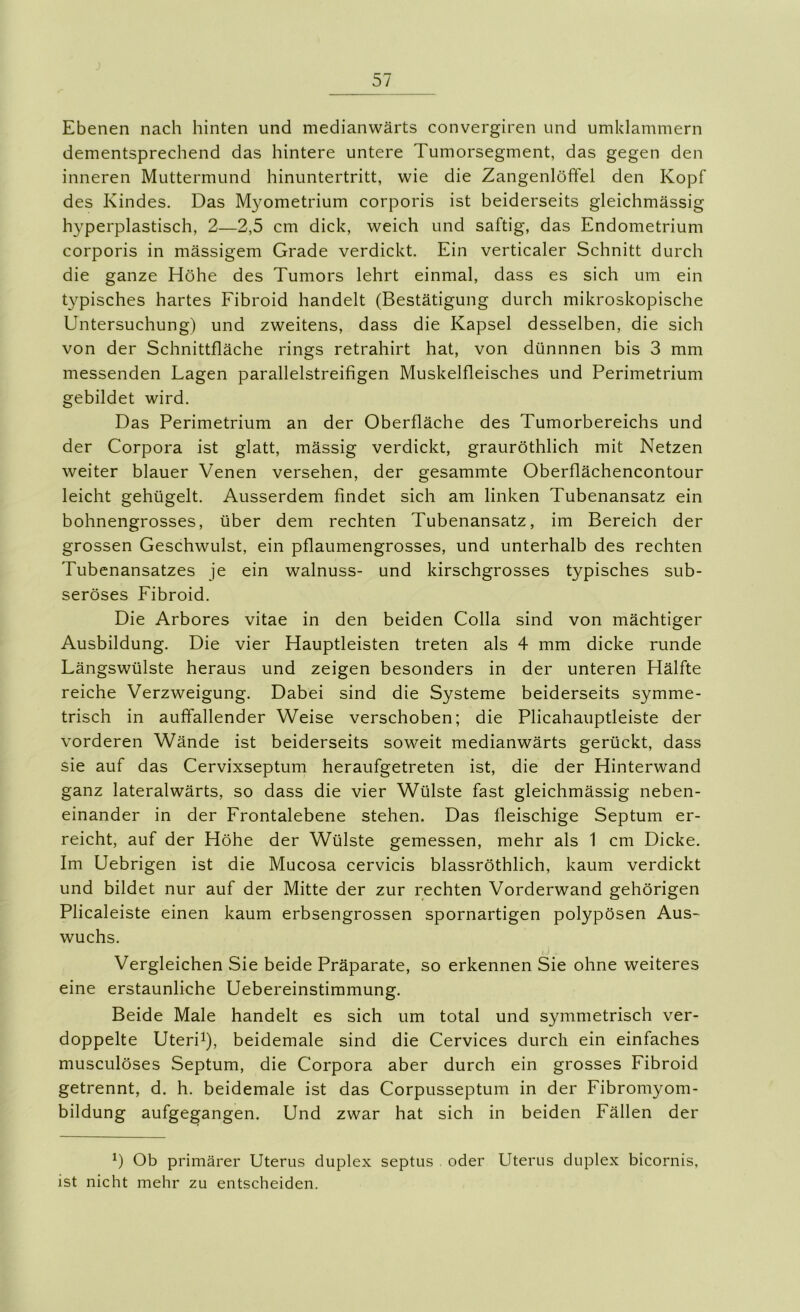 Ebenen nach hinten und medianwärts convergiren und umklammern dementsprechend das hintere untere Tumorsegment, das gegen den inneren Muttermund hinuntertritt, wie die Zangenlöffel den Kopf des Kindes. Das Myometrium corporis ist beiderseits gleichmässig hyperplastisch, 2—2,5 cm dick, weich und saftig, das Endometrium corporis in mässigem Grade verdickt. Ein verticaler Schnitt durch die ganze Höhe des Tumors lehrt einmal, dass es sich um ein typisches hartes Fibroid handelt (Bestätigung durch mikroskopische Untersuchung) und zweitens, dass die Kapsel desselben, die sich von der Schnittfläche rings retrahirt hat, von dünnnen bis 3 mm messenden Lagen parallelstreifigen Muskelfleisches und Perimetrium gebildet wird. Das Perimetrium an der Oberfläche des Tumorbereichs und der Corpora ist glatt, mässig verdickt, grauröthlich mit Netzen weiter blauer Venen versehen, der gesammte Oberflächencontour leicht gehügelt. Ausserdem findet sich am linken Tubenansatz ein bohnengrosses, über dem rechten Tubenansatz, im Bereich der grossen Geschwulst, ein pflaumengrosses, und unterhalb des rechten Tubenansatzes je ein walnuss- und kirschgrosses typisches sub- seröses Fibroid. Die Arbores vitae in den beiden Colla sind von mächtiger Ausbildung. Die vier Hauptleisten treten als 4 mm dicke runde Längswülste heraus und zeigen besonders in der unteren Hälfte reiche Verzweigung. Dabei sind die Systeme beiderseits symme- trisch in auffallender Weise verschoben; die Plicahauptleiste der vorderen Wände ist beiderseits soweit medianwärts gerückt, dass sie auf das Cervixseptum heraufgetreten ist, die der Hinterwand ganz lateralwärts, so dass die vier Wülste fast gleichmässig neben- einander in der Frontalebene stehen. Das fleischige Septum er- reicht, auf der Höhe der Wülste gemessen, mehr als 1 cm Dicke. Im Uebrigen ist die Mucosa cervicis blassröthlich, kaum verdickt und bildet nur auf der Mitte der zur rechten Vorderwand gehörigen Plicaleiste einen kaum erbsengrossen spornartigen polypösen Aus- wuchs. Vergleichen Sie beide Präparate, so erkennen Sie ohne weiteres eine erstaunliche Uebereinstimmung. Beide Male handelt es sich um total und symmetrisch ver- doppelte Uterii), beidemale sind die Cervices durch ein einfaches musculöses Septum, die Corpora aber durch ein grosses Fibroid getrennt, d. h. beidemale ist das Corpusseptum in der Fibromyom- bildung aufgegangen. Und zwar hat sich in beiden Fällen der Ob primärer Uterus duplex septus oder Uterus duplex bicornis, ist nicht mehr zu entscheiden.