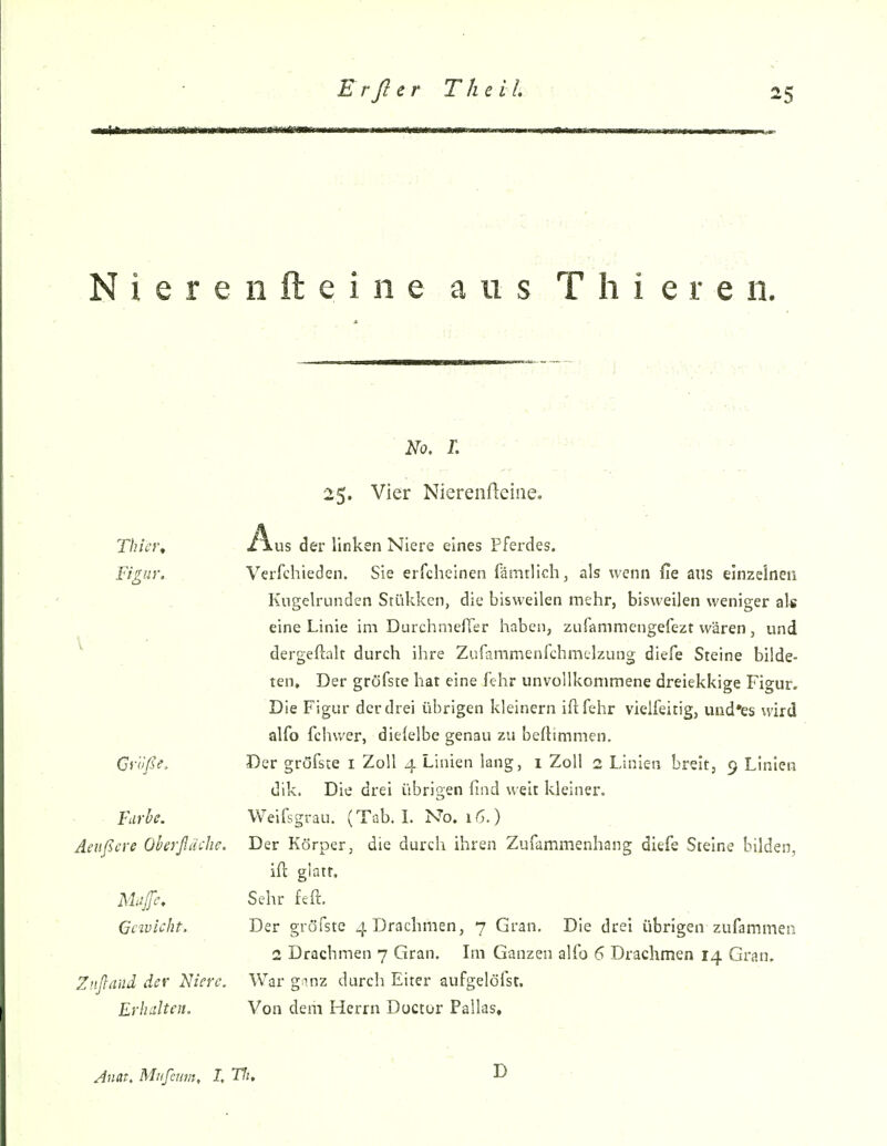 N i e r e n ft e i n e aus T h i e r e ii. 25. Vier Nierenfieine. Thiet\ Äus der linken Niere eines Pferdes. Figur.. . Verfchieden, Sie erfcheinen fämtlich, als wenn fie aus einzelnen Kugelrunden Stükken, die bisweilen mehr, bisweilen weniger als eine Linie im DurchmefTer haben, zufammengefezt wären, und ^ dergeftnlr durch ihre Zufammenrchmclzung diefe Steine bilde- ten. Der gröfste hat eine fehr unvollkommene dreiekkige Figur. Die Figur der drei übrigen kleinern iftfehr vielfeitig, uud*es wird alfo fchwer, dielelbe genau zu beflimmen. Größe, Der gröfste i Zoll 4 Linien lang, 1 Zoll 2 Linien breit, 9 Linien dik. Die drei übrigen find weit kleiner. Furbe. Weifsgrau. (Tab. L No. 16.) Aeußcre Oherßdche. Der Körper, die durch ihren Zufammenhang diefe Steine bilden, ifl glatt. Mujfc, Sehr feft. Gcivlcht. Der gröfste 4 Drachmen, 7 Gran. Die drei übrigen zufammen 2 Drachmen 7 Gran. Im Ganzen alfo 6 Drachmen 14 Gran. Zußand der Niere. War ganz durch Eiter aufgelöfsr. Erhalten. Von dem Herrn Doctor Pallas, Jnat, Mnfeuvi, I, Tfi,