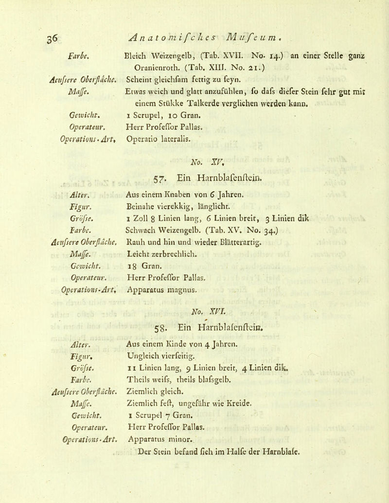 Aeufsere Oberfläche. Maffe. Bleich Weizengelb, (Tab. XVIL No- 14.) an einer Stelle ganz Oranienroth. (Tab, XIII. No. 21.) Scheint gleichfam fettig zu feyn. Etwas weich und glatt anzufühlen, fo dafs diefer Stein fehr gut mit einem Stükke Talkerde verglichen werden kann. Gewicht, 1 bcrupel, 10 üran. Operateur. Herr rroiellor rallas. Operations • Arft Operatio lateralis. ivO. 57. Ein Harnblafenneiß. Alter. Aus einem Knaben von 6 Jahren. Figur. Beinahe vierekkig, länglicht. Cröfse. 1 Zoll 8 Linien lang, 6 Linien breit, 3 Linien dik Farbe. Schwach Weizengelb. (Tab. XV, No. 34,) Aeufsere Oberfläche, Rauh und hin und wieder Blätterartig. Majfe. T*t 1 11*1 Leicht zerbrechlich. Gewicht. 18 Gran. Operateur. TT r\ t* /Y* T^ t f Herr Profelior Pallas. Operations-Art^ Apparatus magnus. xT/i y//r iVO» Ayl. 58. Ein Harnblafenflcin', Alter. Aus einem Kinde von 4 Tahren. Figurt Ungleich vierfeitig. Cröfse. 11 Linien lang, 9 Linien breit, 4 Linien dik. Farbe, Theils weifs, theils blafsgelb. Aeufsere Oberfläche. Ziemlich gleich. Majfc. Ziemlich feft, ungefähr wie Kreide. Geivicht. 1 Scrupel 7 Gran. Operateur. Herr Profeflbr Pallas. Operations'Art. Apparatus minor.. Der Stein befand fich im Hälfe der Harnblafe.