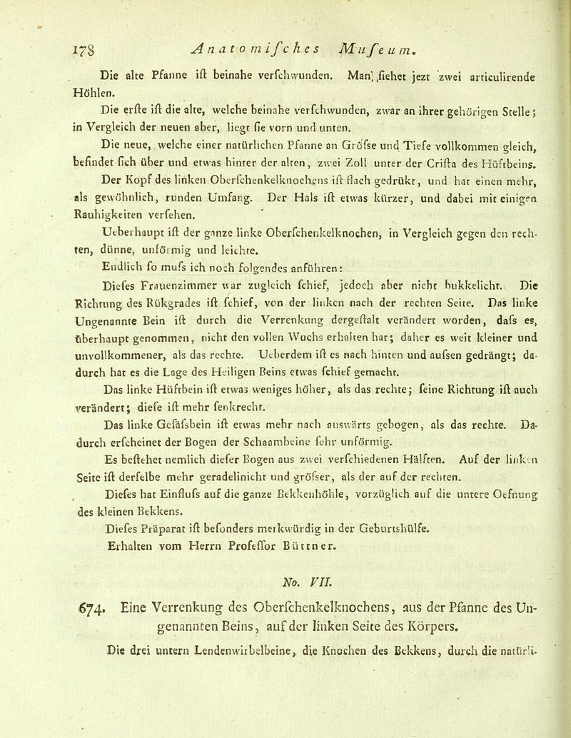 Die alte Pfanne ift beinahe verfchvvunden. Man', ^fiehet jezt zwei arriculirende Höhlen, Die erfte ift die alre, welche beinahe verfchvvunden, zwar an ihrer gehörigen Stelle; in Vergleich der neuen aber, liegt fie vorn und unten. Die neue, welche einer natürlichen Pfanne an Grofse und Tiefe vollkommen gleich, befindet fich über und etwas hinter der alten, zwei Zoll unter der Crifta des Hüftbeins, Der Kopf des linken Oberfchenkelknoch^iis ift flach gedrükt, und hat einen mehr, als gewöhnlich, runden Umfang. Der Hals ift etwas kürzer, und dabei mit einigen Rauhigkeiten verfehen. Ucbeihaupt ift der ginze linke Oberfchenkelknochen, in Vergleich gegen den rech- ten, dünne, unföimig und leichte. Endlich fo mufs ich noch folgendes anführen: Diefes Frauetizimmer war zugleich fchief, jedoch nber nicht bukkelichf. Die Richtung des Rükgrades ift fchief, von der linken nach der rechten Seite. Das linke Ungenannte Bein ift durch die Verrenkung dergeftalt verändert worden, dafs es, überhaupt genommen, nicht den vollen Wuchs erhalten hat; daher es weit kleiner und unvollkommener, als das rechte. Ucherdem ift es nach hinten und aufsen gedrängt; da- durch hat es die Lage des Heiligen Beins etwas fchief gemacht. Das linke Hüftbein ift etwas weniges höher, als das rechte; feine Richtung ift auch verändert; diefe ift mehr fenkrechf. Das linke Gefäfsbein ift etwas mehr nach auswärts gebogen, als das rechte. Da- durch erfcheinet der Bogen der Schaambeine fchr unförmig. Es beftfchet nemlich diefer Bogen aus zwei verfchiedenen Hälften. Auf der liiik' n Seite ift derfelbe mehr geradelinicht und gröfser, als der auf der recl)ten. Diefes hat Einflufs auf die ganze Bekkejihöhle, vorzüglich auf die untere Oefnung des kleinen Bekkens. Diefes Präparat ift befonders merkwürdig in der Geburtshülfe. Erhalten vom Herrn Proftflbr Büttner. No, VIT. 674. Eine Verrenkung des Oberfchenkelknochens, aus der Pfanne des Un- genannten Beins, auf der linken Seite des Körpers. Die drei untern Lendenwixbelbeine, die Knochen des Bekkens, durch die natürli.