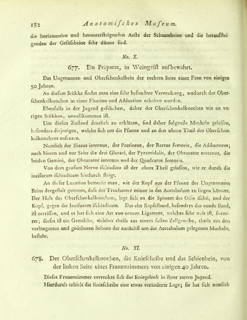 die horizontalen und herunterfteigenden Aefte der Schaambeine und die heraufftei- genden der Gefäfsbeine fehr dünne find. No. X. Ein Präparat, in Weingeift aufbewahrt. Das Ungenannte- und Oberfchenkelbein der rechten Seite einer Frau von einigen 50 Jahren. An diefcm Sitikke findet man eine fehr befondere Verrenkung, wodurch der Ober- fchenkelknochen in einer Flection und Adduction erhalten worden. Ebenfalls in der Jugend gefchthen, daher der Oberfchenkelknochen wie an vo- rigen Siükken, unvollkommen ift. Um diefen Zuftand deutlich zu erklären, find daher folgende Muskeln gelaffen, befonders diejenigen, welche fith um die Pfanne und an den obern Theil des OberfLhen- kelknochens anfezzen. Nemlich der Iliacus internus, der Pectineus, der Rectus femoris, die Adductores; nach hinten und zur Seite die drei Glutaei, der Pyramidalis, der Obturator externus, die beiden Gemini, der Obrurator internus und der Quadratus femoris. Von dem grofsen Nervo ifchiadico ift der obere Theil gelaffen, wie er durch die incifuram ifchiadicam hindurch fteigt. An diefer Luxation bemerkt man, wie der Kopf aus der Pfanne des Unojenannten Beins dergeftalt getreren, dafs derTrochanter minor in das Acetabulum zu liegen kömmt. Der Hals des Oberfchenkelknochens, legt fich an die Spinam des Offls ifchii, und der Kopf, gegen die Incifuram ifchiadicam. Das alte Knpfelband, befonders das runde Band, ift zerriffen, und es hat fich eine Art von neuem Ligament, welches fehr weit ift, formi- ret; diefes ift ein Gemifche, welches theils aus einem feften Zellgewebe, theils aus den verlängerten und gedehnten Sehnen der zunächft um das Acetabulum gelegenen Mubkeln, befteht, Ko. XL 678» T)ev Oberfchenkelknochen, die Kniefcheibe und das Schienbein, von der linken Seite eines Frauenzimmers von einigen 40 Jahren. Diefes Frauenzimmer verrenkte fich das Kniegelenk in ihrer zarten Jugend. Hierdurch erhielt die Kniefcheibe eine etwas veränderte Lage; fie Iiat fich nemlich