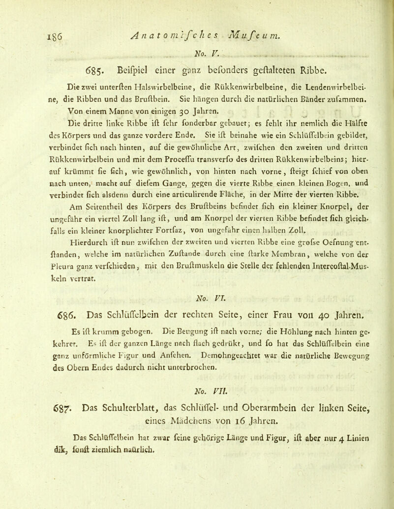 No. V. 685. Beifpiel einer ganz befonders geftalteten Ribbc. Die zwei unterften Halswirbelbeine, die Rükkenvvirbelbeine, die Lendcnwirbelbei- ne, die Ribben und das Bruftbein. Sie hängen durch die naiürlichen Bänder zufimmen. Von einem Manne von einigen 30 Jahren. Die dritte linke Ribbe ift fehr fonderbar gebauet; es fehlt ihr nemlich die Hälfte des Körpers und das ganze vordere Ende. Sie ift beinahe wie ein Schlüffclb^in gebildet, verbindet fich nach hinten, auf die gewöhnliche Art, Zwilchen den zweiten und dritten Rükkenwirbelbein und mit dem Proceflii transverfo des dritten Rükkenwirbelbeins; hier- auf krümmt fie fich, wie gewöhnlich, von hinten nach vorne, fteigt fchief von oben nach unten, macht auf diefem Gange, gegen die vierte Ribbe einen kleinen Bogen, und verbindet fich alsdenn durch eine articulirende Fläche, in der Mitte der vierten Ribbe. Am Seitentheil des Körpers des Bruftbeins befindet fich ein kleiner Knorpel, der ungefähr ein viertel Zoll lang ift, und am Knorpel der vierten Ribbe befindet fich gleich- falls ein kleiner knorplichter Fortfaz, von ungefähr einen halben Zoll, Hierdurch ift nun zwifchen der zweiten und vierten Ribbe eine grofse Oefnung ent- ftanden, welche im natürlichen Zuftande durch eine ftarke Membran, welche von der Pleura ganz verfchieden, mit den Bruftmuskeln die Stelle der fehlenden IntercoftaUMus- keln vertrat. No. VI. 686. Das Schlüffelbein der rechten Seite, einer Frau von 40 Jahren. Es ift krumm gebogen. Die Beugung ift nach vorne; die Höhlung nach hinten ge« kehrer. Es ift der ganzen Länge nach flach gedrükt, und fo hat das Schlüfftlbein eine ganz unförmliche Figur und Anfehen. Demohngeachiet war die natürliche Bewegung des Obern Endes dadurch nicht unterbrochen. No. FII. 687« Das Schulterblatt, das Schlüflel- und Oberarmbein der linken Seite, eines Mädchens von 16 Jahren. Das SchlüfTelbein hat zwar feine gehörige Länge und Figur, ift aber nur 4 Linien äjSLf iQa&. ziemlich naücUcb.