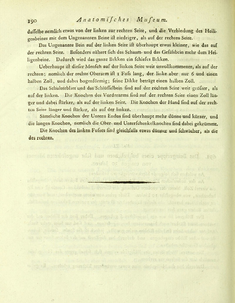 jpo Anatom ij c he s M ufeum, daflelbe nemlich etwas von der Unken zur rechten Seite, und die Verbindung des Heilio genbeines mit dem Ungenannten Beine ift niedriger, als auf der rechten Seite. Das Ungenannte Bein auf der linken Seite ift überhaupt etwas kleiner, wie das auf der rechten Seite. Befonders nähert fich das Schaam- und das Gefälsbein mehr dem Hei- ligenbeine. Dadurch wird das ganze Bekken ein fchiefes Bckken. Ueberhaupt ift diefer Menfch auf der linken Seite weit unvollkommener, als auf der rechten; nemlich der rechte Oberarm ift i Fufs lang, der linke.aber nur 6 und einen halben Zoll, und dabei bogenförmig; feine Dikke beträgt einen halben Zoll. Das Schulterblatt und das Schlüffelbein find auf der rechten Seite weit giöfser, als auf der linken. Die Knochen des Vorderarms find auf der rechten Seite einen Zoll län- ger und dabei ftärker, als auf der linken Seite. Die Knochen der Hand find auf der rech- ten Seite länger und ftärker, als auf der linken. Sämtliche Knochen der Untern Enden find überhaupt mehr dünne und kürzer, und die langen Knochen, nemlich die Ober- und Unterfchenkelknochen find dabei gekrümmt. Die Knochen des linken Fufses find gleichfalls etwas dünpejc und fchwäwher, als die des rechten.
