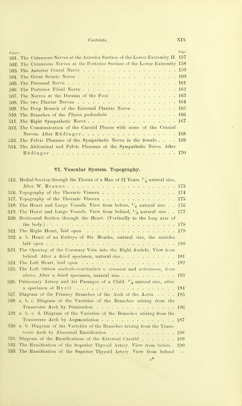 Figuic Page 501. The Cutaneous Nerves at the Anterior Surface of the Lower Extremity II. 157 502. The Cutaneous Nerves at the Posterior Surface of the Lower Extremity 158 503. The Anterior Crural Nerve 159 504. The Great Sciatic Nerve 160 505. The Peroneal Nerve 161 506. The Posterior Tibial Nerve 162 507. The Nerves at the Dorsum of the Foot , 163 508. The two Plantar Nerves 164 509. The Deep Branch of the External Plantar Nerve 165 510. The Branches of the Plexus pudendalis 166 511. The Right Sympathetic Nerve 167 512. The Communication of the Carotid Plexus with some of the Cranial Nerves. After Eiidinger 168 513. The Pelvic Plexuses of the Sympathetic Nerve in the female .... 169 514. The Abdominal and Pelvic Plexuses of the Sympathetic Nerve. After Riidinger 170 VI. Vascular System. Topography. 515. Medial Section through the Thorax of a Man of 21 Years. '/2 natural size. After W. Braune 173 516. Topography of the Thoracic Viscera 174 517. Topography of the Thoracic Viscera 175 518. The Heart and Large Vessels. View from before, i/2 natural size . . 176 519. The Heart and Large Vessels. View from behind, '/2 natural size . .177 520. Horizontal Section through the Heart. (Vertically to the long axis of the body.) 178 521. The Right Heart, Taid open 179 522. a. b. Heart of an Embryo of Six Months, natural size, the auricles laid open 180 523. The Opening of the Coronary Vein into the Right Auricle. View from behind. After a dried specimen, natural size 181 524. The Left Heart, laid open 182 525. The Left Ostium auriculd-ventrieulare s. venosum and arteriosum, from above. After a dried specimen, natural size 183 526. Pulmonary Artery and Air Passages of a Child. '/2 natural size, after a specimen of Hyrtl 184 527. Diagram of the Primary Branches of the Arch of the Aorta .... 185 528. a. b. c. Diagram of the Varieties of the Branches arising from the Transverse Arch by Diminution 186 529. a. b. c. d. Diagram of the Varieties of the Branches arising from the Transverse Arch by Augmentation 187 530. a. b. Diagram of the Varieties of the Branches arising from the Trans- verse Arch by Abnormal Ramification 188 531. Diagram of the Ramifications of the External Carotid 189 532. The Ramification of the Superior Thyroid Artery. View from before . 190 533. The Ramification of the Superior Thyroid Artery. View from behind —
