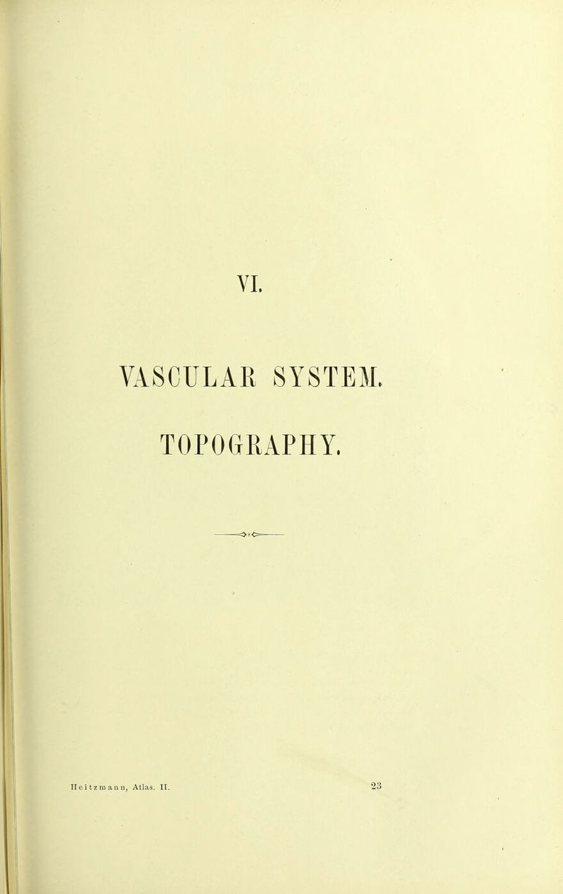 VI. VASCULAR SYSTEM. TOPOGRAPHY. itzmann, Atlas. II. 23