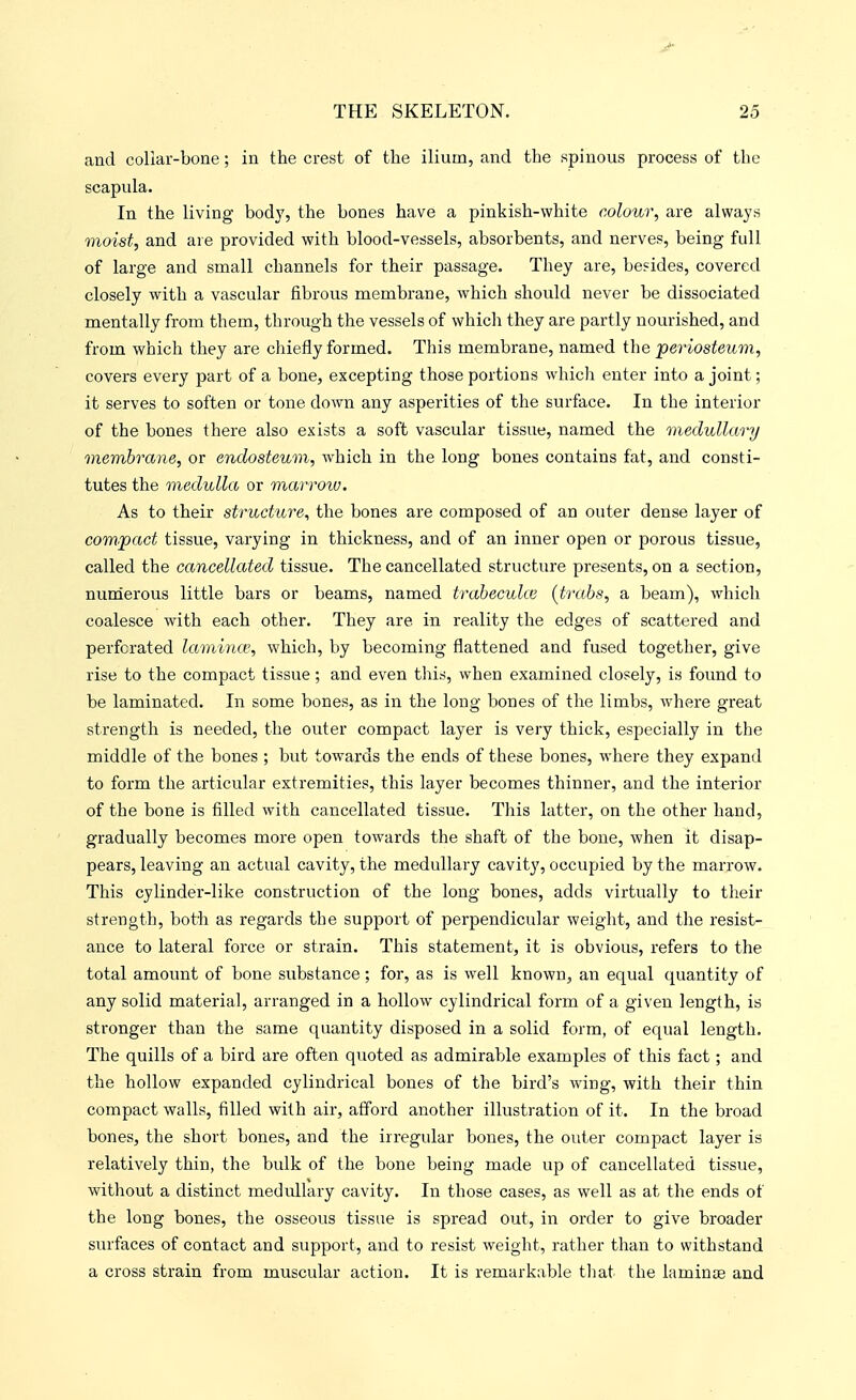 and collar-bone; in the crest of the ilium, and the spinous process of the scapula. In the living body, the bones have a pinkish-white colour, are always moist, and are provided with blood-vessels, absorbents, and nerves, being full of large and small channels for their passage. They are, besides, covered closely with a vascular fibrous membrane, which should never be dissociated mentally from them, through the vessels of which they are partly nourished, and from which they are chiefly formed. This membrane, named the ■periosteum, covers every part of a bone, excepting those portions which enter into a joint; it serves to soften or tone doAvn any asperities of the surface. In the interior of the bones there also exists a soft vascular tissue, named the medullary membrane, or endosteum, which in the long bones contains fat, and consti- tutes the medulla or marrow. As to their structure^ the bones are composed of an outer dense layer of compact tissue, varying in thickness, and of an inner open or porous tissue, called the cancellated tissue. The cancellated structure presents, on a section, numerous little bars or beams, named trabeculce {tmbs, a beam), which coalesce with each other. They are in reality the edges of scattered and perforated lamina, which, by becoming flattened and fused together, give rise to the compact tissue; and even tliis, when examined closely, is found to be laminated. In some bones, as in the long bones of the limbs, whei-e great strength is needed, the outer compact layer is very thick, especially in the middle of the bones ; but towards the ends of these bones, where they expand to form the articular extremities, this layer becomes thinner, and the interior of the bone is filled with cancellated tissue. This latter, on the other hand, gradually becomes more open towards the shaft of the bone, when it disap- pears, leaving an actual cavity, the medullary cavity, occupied by the marrow. This cylinder-like construction of the long bones, adds virtually to their strength, both as regards the support of perpendicular weight, and the resist- ance to lateral force or strain. This statement, it is obvious, refers to the total amount of bone substance; for, as is well known, an equal quantity of any solid material, arranged in a hollow cylindrical form of a given length, is stronger than the same quantity disposed in a solid form, of equal length. The quills of a bird are often quoted as admirable examples of this fact; and the hollow expanded cylindrical bones of the bird's wing, with their thin compact walls, filled with air, afford another illustration of it. In the broad bones, the short bones, and the irregular bones, the outer compact layer is relatively thin, the bulk of the bone being made up of cancellated tissue, without a distinct medullary cavity. In those cases, as well as at the ends of the long bones, the osseous tissue is spread out, in order to give broader surfaces of contact and support, and to resist weight, rather than to withstand a cross strain from muscular action. It is remarkable tliat the laminte and