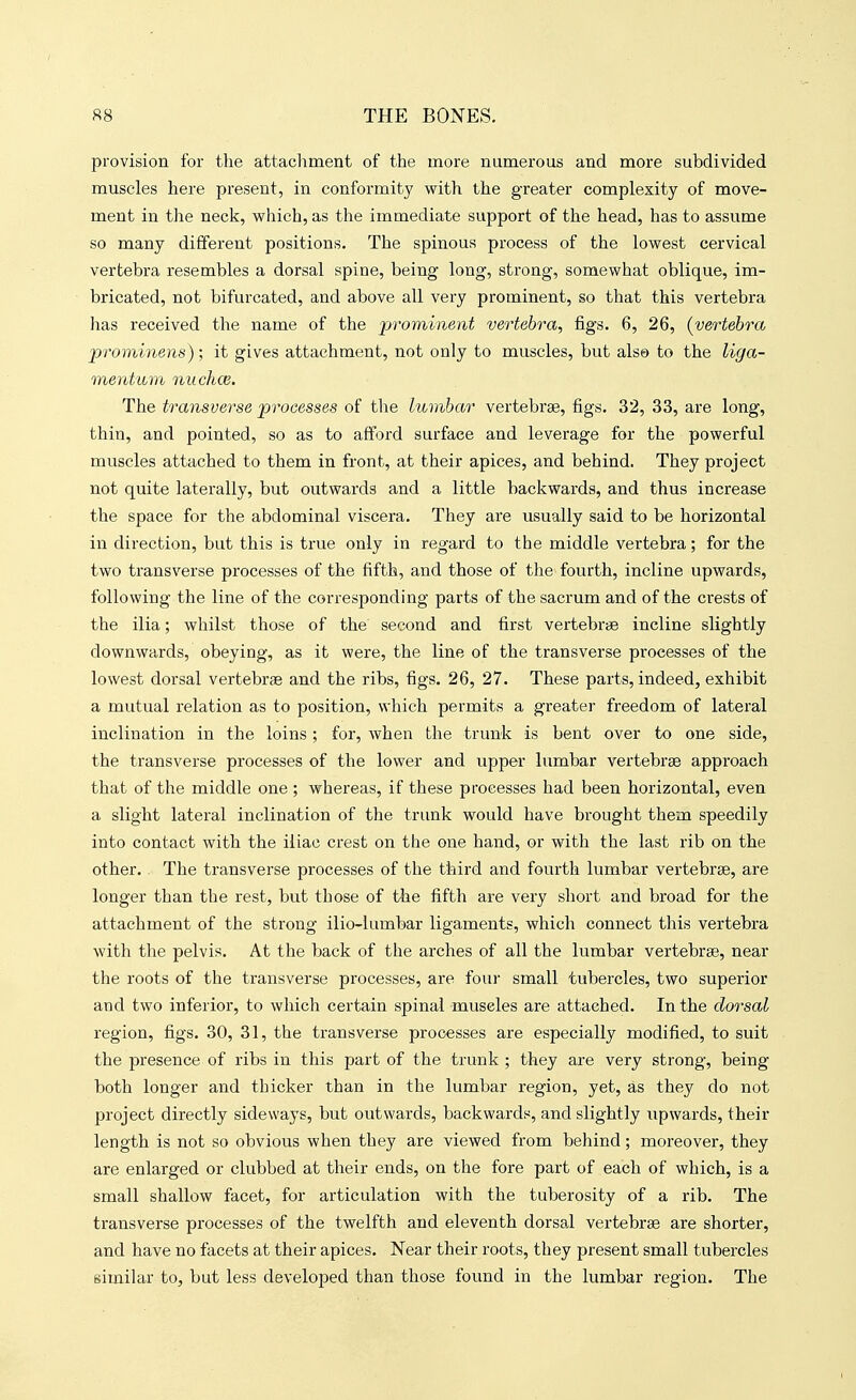 provision for the attacliment of the more numerous and more subdivided muscles here present, in conformity with the greater complexity of move- ment in the neck, which, as the immediate support of the head, has to assume so many different positions. The spinous process of the lowest cervical vertebra resembles a dorsal spine, being long, strong, somewhat oblique, im- bricated, not bifurcated, and above all very prominent, so that this vertebra has received the name of the prominent vertebra, figs. 6, 26, {vertebra prominens); it gives attachment, not only to muscles, but also to the liga- mentum nucha;. The transverse processes of the lumbar vertebrse, figs. 32, 33, are long, thin, and pointed, so as to afford surface and leverage for the powerful muscles attached to them in front, at their apices, and behind. They project not quite laterally, but outwards and a little backwards, and thus increase the space for the abdominal viscera. They are usually said to be horizontal in direction, but this is true only in regard to the middle vertebra; for the two transverse processes of the fifth, and those of the fourth, incline upwards, following the line of the corresponding parts of the sacrum and of the crests of the ilia; whilst those of the second and first vertebr* incline slightly downwards, obeying, as it were, the line of the transverse processes of the lowest dorsal vertebrae and the ribs, figs. 26, 27. These parts, indeed, exhibit a mutual relation as to position, which permits a greater freedom of lateral inclination in the loins; for, when the trunk is bent over to one side, the transverse processes of the lower and upper lumbar vertebrse approach that of the middle one ; whereas, if these processes had been horizontal, even a slight lateral inclination of the tnmk would have brought them speedily into contact with the iliac crest on the one hand, or with the last rib on the other. The transverse processes of the third and fourth lumbar vertebrse, are longer than the rest, but those of the fifth are very short and broad for the attachment of the strong ilio-lumbar ligaments, which connect this vertebra with the pelvis. At the back of the arches of all the lumbar vertebrse, near the roots of the transverse processes, are four small tubercles, two superior and two inferior, to which certain spinal muscles are attached. In the dorsal region, figs. 30, 31, the transverse processes are especially modified, to suit the presence of ribs in this part of the trunk ; they are very strong, being both longer and thicker than in the lumbar region, yet, as they do not project directly sideways, but outwards, backwards, and slightly upwards, their length is not so obvious when they are viewed from behind; moreover, they are enlarged or clubbed at their ends, on the fore part of each of which, is a small shallow facet, for articulation with the tuberosity of a rib. The transverse processes of the twelfth and eleventh dorsal vertebrse are shorter, and have no facets at their apices. Near their roots, they present small tubercles similar to, but less developed than those found in the lumbar region. The