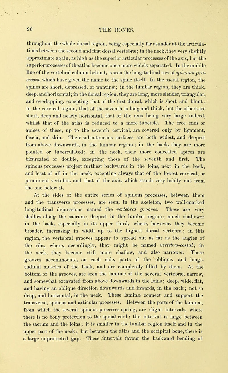 throughout the whole dorsal region, being especially far asunder at the articula- tions between the second and first dorsal vertebrae; in the neck,they very slightly approximate again, as high as the superior articular processes of the axis, but the superiorprocessesof theatlas become once more widely separated. In the middle line of the vertebral column behind, is seen the longitudinal row of spinous pro- cesses, which have given the name to the spine itself. In the sacral region, the spines are short, depressed, or wanting; in the lumbar region, they are thick, deep, and horizontal; in the dorsal region, they are long, more slender, triangular, and overlapping, excepting that of the first dorsal, which is short and blunt ;• in the cervical region, that of the seventh is long and thick, but the others are short, deep and nearly horizontal, that of the axis being very large indeed, whilst that of the atlas is reduced to a mere tubercle. The free ends or apices of these, up to the seventh cervical, are covered only by ligament, fascia, and skin. Their subcutaneous surfaces are both widest, and deepest from above downwards, in the lumbar region ; in the back, they are more pointed or tuberculated; in the neck, their more concealed apices are bifurcated or double, excepting those of the seventh and first. The spinous processes project furthest backwards in the loins, next in the back, and least of all in the neck, excepting always that of the lowest cervical, or prominent vertebra, and that of the axis, which stands very boldly out from the one below it. At the sides of the entire series of spinous processes, between them and the transverse processes, are seen, in the skeleton, two well-marked longitudinal depressions named the vertebral grooves. These are very shallow along the sacrum; deepest in the lumbar region; much shallower in the back, especially in its upper third, where, however, they become broader, increasing in width up to the highest dorsal vertebra; in this region, the vertebral grooves appear to spread out as far as the angles of the ribs, where, accordingly, they might be named vertebro-costal; in the neck, they become still more shallow, and also narrower. These grooves accommodate, on each side, parts of the 'oblique, and longi- tudinal muscles of the back, and are completely filled by them. At the bottom of the grooves, are seen the laminae of the several vertebrae, narrow, and somewhat excavated from above downwards in the loins ; deep, wide, flat, and having an oblique direction downwards and inwards, in the back; not so deep, and horizontal, in the neck. These laminte connect and support the transverse, spinous and articular processes. Between the parts of the laminae, from which the several spinous processes spring, are slight intervals, where there is no bony protection to the spinal cord ; the interval is large between the sacrum and the loins ; it is smaller in the lumbar region itself and in the upper part of the neck; but between the atlas and the occipital bone, there is a large unprotected gap. These .intervals favour the backward bending of