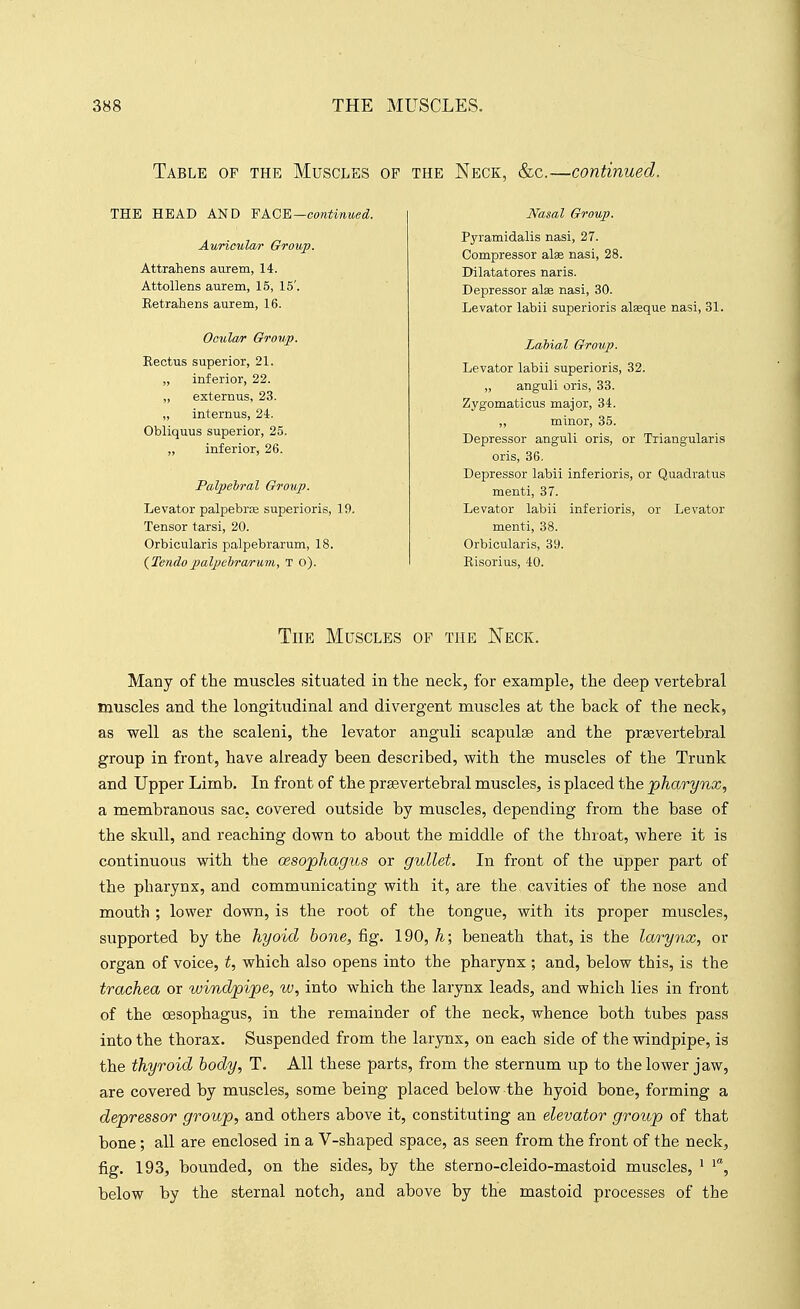 Table op the Muscles of THE head and VACE—oontinued. Auricular Group. Attrahens aurem, 14. Attollens aurem, 15, 15'. Ketrahens aurem, 16. Oaula/r Group. Rectus superior, 21. „ inferior, 22. „ externus, 23. „ internus, 24. Obliquus superior, 25. „ inferior, 26. Palpebral Group. Levator palpebrte superioris, 19. Tensor tarsi, 20. Orbicularis palpebrarum, 18. {Tendopalpcbra/i-uvi, T o). THE Neck, &c.—continued. Nasal Group. Pyramidalis nasi, 27. Compressor alse nasi, 28. Dilatatores naris. Depressor alae nasi, 30. Levator labii superioris alseque nasi, 31. Labial Group. Levator labii superioris, 32. „ anguli oris, 33. Zygomaticus major, 34. ,, minor, 35. Depressor anguli oris, or Triangularis oris, 36. Depressor labii inferioris, or Quadratus menti, 37. Levator labii inferioris, or Levator menti, 38. Orbicularis, 39. Kisorius, 40. The Muscles of the Neck. Many of the muscles situated in the neck, for example, the deep vertebral muscles and the longitudinal and divergent muscles at the back of the neck, as well as the scaleni, the levator anguli scapulae and the prsevertebral group in front, have already been described, with the muscles of the Trunk and Upper Limb. In front of the prsevertebral muscles, is placed the ■pharynx, a membranous sac, covered outside by muscles, depending from the base of the skull, and reaching down to about the middle of the throat, where it is continuous with the oesophagus or gullet. In front of the upper part of the pharynx, and communicating with it, are the cavities of the nose and mouth ; lower down, is the root of the tongue, with its proper muscles, supported by the hyoid bone, fig. 190, h; beneath that, is the larynx, or organ of voice, t, which also opens into the pharynx ; and, below this, is the trachea or windpipe, w, into which the larynx leads, and which lies in front of the oesophagus, in the remainder of the neck, whence both tubes pass into the thorax. Suspended from the larynx, on each side of the windpipe, is the thyroid body, T. All these parts, from the sternum up to the lower jaw, are covered by muscles, some being placed below the hyoid bone, forming a depressor group, and others above it, constituting an elevator group of that bone; all are enclosed in a V-shaped space, as seen from the front of the neck, fig. 193, bounded, on the sides, by the stern o-cleido-mastoid muscles, ' below by the sternal notch, and above by the mastoid processes of the