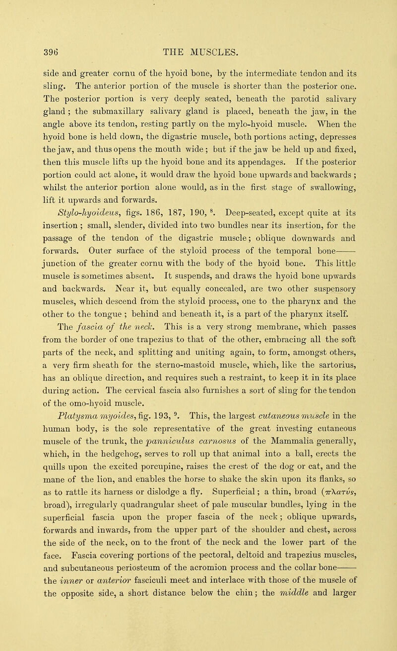 side and greater cornu of the hyoid bone, by the intermediate tendon and its sling. Tbe anterior portion of the muscle is shorter than the posterior one. The posterior portion is very deeply seated, beneath the parotid salivary gland ; the submaxillary salivary gland is placed, beneath the jaw, in the angle above its tendon, resting partly on the mylo-hyoid muscle. When the hyoid bone is held down, the digastric muscle, both portions acting, depresses the jaw, and thus opens the mouth wide; but if the jaw be held up and fixed, then this muscle lifts up the hyoid bone and its appendages. If the posterior portion could act alone, it would draw the hyoid bone upwards and backwards ; whilst the anterior portion alone would, as in the first stage of swallowing, lift it upwards and forwards. Stylo-hyoideus, figs. 186, 187, 190, ^. Deep-seated, except quite at its insertion ; small, slender, divided into two bundles near its insertion, for the passage of the tendon of the digastric muscle; oblique downwards and forwards. Outer surface of the styloid process of the temporal bone junction of the greater cornu with the body of the hyoid bone. This little muscle is sometimes absent. It suspends, and draws the hyoid bone upwards and backwards. Near it, but equally concealed, are two other suspensory muscles, which descend from the styloid process, one to the pharynx and the other to the tongue ; behind and beneath it, is a part of the pharynx itself. The fascia of the nech. This is a very strong membrane, which passes from the border of one trapezius to that of the other, embracing all the soft parts of the neck, and splitting and uniting again, to form, amongst others, a very firm sheath for the sterno-mastoid muscle, which, like the sartorius, has an oblique direction, and requires such a restraint, to keep it in its place during action. The cervical fascia also furnishes a sort of sling for the tendon of the omo-hyoid muscle. Platysma myoides, fig. 193, ^. This, the largest cutaneous muscle in the human body, is the sole representative of the great investing cutaneous muscle of the trunk, the panniculus carnosus of the Mammalia generally, which, in the hedgehog, serves to roll up that animal into a ball, erects the quills upon the excited porcupine, raises the crest of the dog or cat, and the mane of the lion, and enables the horse to shake the skin upon its flanks, so as to rattle its harness or dislodge a fly. Superficial; a thin, broad {jrXarvs, broad), irregularly quadrangular sheet of pale muscular bundles, lying in the superficial fascia upon the proper fascia of the neck; oblique upwards, forwards and inwards, from the upper part of the shoulder and chest, across the side of the neck, on to the front of the neck and the lower part of the face. Fascia covering portions of the pectoral, deltoid and trapezius muscles, and subcutaneous periosteum of the acromion process and the collar bone the inner or anterior fasciculi meet and interlace with those of the muscle of the opposite side, a short distance below the chin; the middle and larger