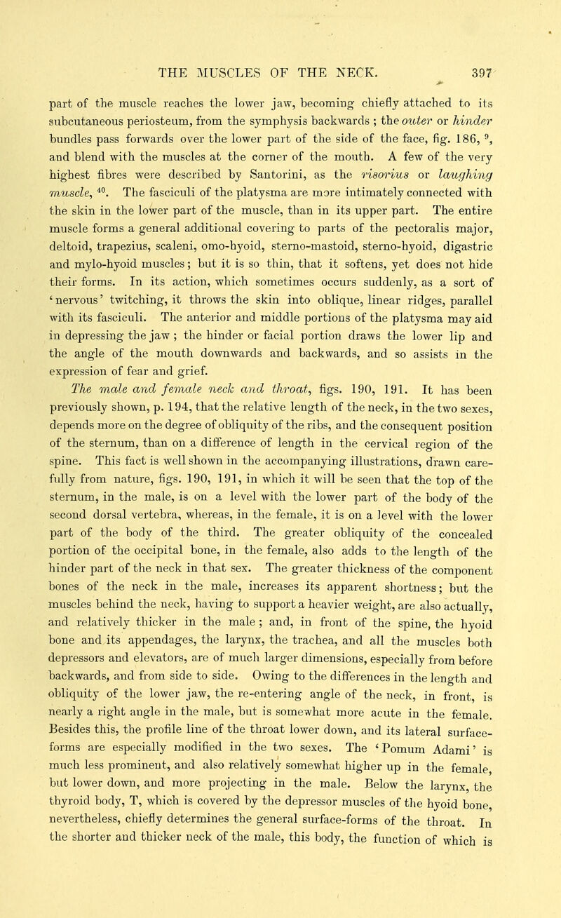 part of the muscle reaches the lower jaw, becoming chiefly attached to its subcutaneous periosteum, from the symphysis backwards ; the outer or hinder bundles pass forwards over the lower part of the side of the face, fig. 186, ^, and blend with the muscles at the corner of the mouth. A few of the very highest fibres were described by Santorini, as the risorius or laughing muscle, The fasciculi of the platysma are more intimately connected with the skin in the lower part of the muscle, than in its upper part. The entire muscle forms a general additional covering to parts of the pectoralis major, deltoid, trapezius, scaleni, omo-hyoid, sterno-mastoid, sterno-hyoid, digastric and mylo-hyoid muscles; but it is so thin, that it softens, yet does not hide their forms. In its action, which sometimes occurs suddenly, as a sort of ' nervous' twitching, it throws the skin into oblique, linear ridges, parallel with its fasciculi. The anterior and middle portions of the platysma may aid in depressing the jaw ; the hinder or facial portion draws the lower lip and the angle of the mouth downwards and backwards, and so assists in the expression of fear and grief. The male and female neck and throat, figs. 190, 191. It has been previously shown, p. 194, that the relative length of the neck, in the two sexes, depends more on the degree of obliquity of the ribs, and the consequent position of the sternum, than on a difference of length in the cervical region of the spine. This fact is well shown in the accompanying illustrations, drawn care- fully from nature, figs. 190, 191, in which it will be seen that the top of the sternum, in the male, is on a level with the lower part of the body of the second dorsal vertebra, whereas, in the female, it is on a level with the lower part of the body of the third. The greater obliquity of the concealed portion of the occipital bone, in the female, also adds to the length of the hinder part of the neck in that sex. The greater thickness of the component bones of the neck in the male, increases its apparent shortness; but the muscles behind the neck, having to support a heavier weight, are also actually, and relatively thicker in the male ; and, in front of the spine, the hyoid bone and its appendages, the larynx, the trachea, and all the muscles both depressors and elevators, are of much larger dimensions, especially from before backwards, and from side to side. Owing to the differences in the length and obliquity of the lower jaw, the re-entering angle of the neck, in front, is nearly a right angle in the male, but is somewhat more acute in the female Besides this, the profile line of the throat lower down, and its lateral surface- forms are especially modified in the two sexes. The ' Pomum Adami' is much less prominent, and also relatively somewhat higher up in the female, but lower down, and more projecting in the male. Below the larynx, the thyroid body, T, which is covered by the depressor muscles of tlie hyoid bone, nevertheless, chiefly determines the general surface-forms of the throat. In the shorter and thicker neck of the male, this body, the function of which is