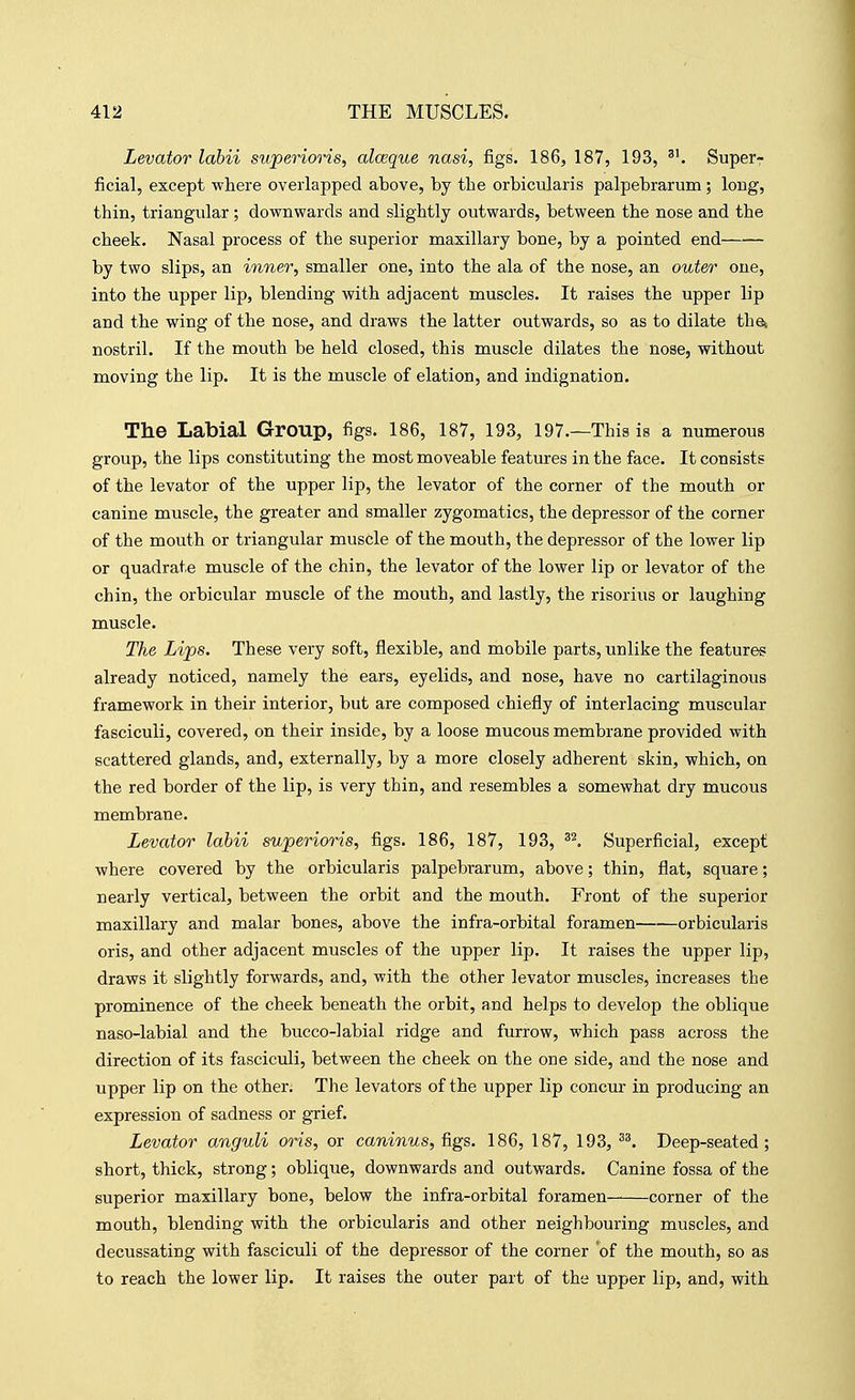 Levator labii superioris, alceque nasi, figs. 186, 187, 193, Superr ficial, except where overlapped above, by the orbicularis palpebrarum; long, thin, triangular; downwards and slightly outwards, between the nose and the cheek. Nasal process of the superior maxillary bone, by a pointed end by two slips, an inner, smaller one, into the ala of the nose, an outer one, into the upper lip, blending with adjacent muscles. It raises the upper lip and the wing of the nose, and draws the latter outwards, so as to dilate thet nostril. If the mouth be held closed, this muscle dilates the nose, without moving the lip. It is the muscle of elation, and indignation. The Labial Group, figs. 186, 187, 193, 197.—This is a numerous group, the lips constituting the most moveable features in the face. It consists of the levator of the upper lip, the levator of the corner of the mouth or canine muscle, the greater and smaller zygomatics, the depressor of the corner of the mouth or triangular muscle of the mouth, the depressor of the lower lip or quadrate muscle of the chin, the levator of the lower lip or levator of the chin, the orbicular muscle of the mouth, and lastly, the risorius or laughing muscle. The Lips. These very soft, flexible, and mobile parts, unlike the features already noticed, namely the ears, eyelids, and nose, have no cartilaginous framework in their interior, but are composed chiefly of interlacing muscular fasciculi, covered, on their inside, by a loose mucous membrane provided with scattered glands, and, externally, by a more closely adherent skin, which, on the red border of the lip, is very thin, and resembles a somewhat dry mucous membrane. Levator labii superioris, figs. 186, 187, 193, Superficial, except where covered by the orbicularis palpebrarum, above; thin, flat, square; nearly vertical, between the orbit and the mouth. Front of the superior maxillary and malar bones, above the infra-orbital foramen orbicularis oris, and other adjacent muscles of the upper lip. It raises the upper lip, draws it slightly forwards, and, with the other levator muscles, increases the prominence of the cheek beneath the orbit, and helps to develop the oblique naso-labial and the bucco-labial ridge and furrow, which pass across the direction of its fasciculi, between the cheek on the one side, and the nose and upper lip on the other. The levators of the upper lip concur in producing an expression of sadness or grief. Levator anguli oris, or caninus, figs. 186, 187, 193, Deep-seated; short, thick, strong; oblique, downwards and outwards. Canine fossa of the superior maxillary bone, below the infra-orbital foramen corner of the mouth, blending with the orbicularis and other neighbouring muscles, and decussating with fasciculi of the depressor of the corner of the mouth, so as to reach the lower lip. It raises the outer part of the upper lip, and, with
