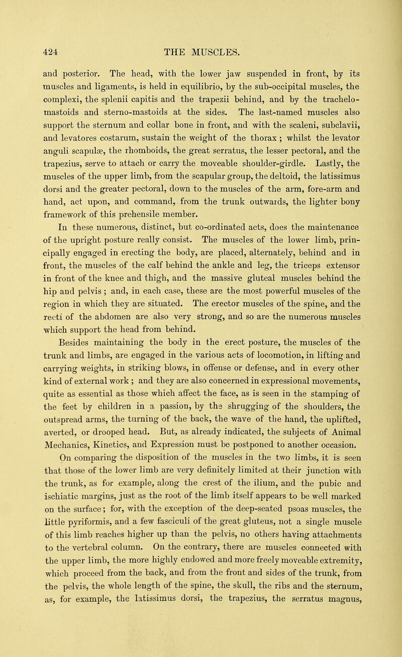 and posterior. The head, with the lower jaw suspended in front, by its muscles and ligaments, is held in equilibrio, by the sub-occipital muscles, the complexi, the splenii capitis and the trapezii behind, and by the trachelo- mastoids and sterno-mastoids at the sides. The last-named muscles also support the sternum and collar bone in front, and with the scaleni, subclavii, and levatores costarum, sustain the weight of the thorax ; whilst the levator anguli scapulae, the rhomboids, the great serratus, the lesser pectoral, and the trapezius, serve to attach or carry the moveable shoulder-girdle. Lastly, the muscles of the upper limb, from the scapular group, the deltoid, the latissimus dorsi and the greater pectoral, down to the muscles of the arm, fore-arm and hand, act upon, and command, from the trunk outwards, the lighter bony framework of this prehensile member. In these numerous, distinct, but co-ordinated acts, does the maintenance of the upright posture really consist. The muscles of the lower limb, prin- cipally engaged in erecting the body, are placed, alternately, behind and in front, the muscles of the calf behind the ankle and leg, the triceps extensor in front of the knee and tbigh, and the massive gluteal muscles behind the hip and pelvis ; and, in each case, these are the most powerful muscles of the region in which they are situated. The erector muscles of the spine, and the recti of the abdomen are also very strong, and so are the numerous muscles which support the head from behind. Besides maintaining the body in the erect posture, the muscles of the trunk and limbs, are engaged in the various acts of locomotion, in lifting and carrying weights, in striking blows, in offense or defense, and in every other kind of external work ; and they are also concerned in expressional movements, quite as essential as those which affect the face, as is seen in the stamping of the feet by children in a passion, by the shrugging of the shoulders, the outspread arms, the turning of the back, the wave of the hand, the uplifted, averted, or drooped head. But, as already indicated, the subjects of Animal Mechanics, Kinetics, and Expression must be postponed to another occasion. On comparing the disposition of the muscles in the two limbs, it is seen that those of the lower limb are very definitely limited at their junction with the trunk, as for example, along the crest of the ilium, and the pubic and ischiatic margins, just as the root of the limb itself appears to be well marked on the surface; for, with the exception of the deep-seated psoas muscles, the little pyriformis, and a few fasciculi of the great gluteus, not a single muscle of this limb reaches higher up than the pelvis, no others having attachments to the vertebral column. On the contrary, there are muscles connected with the upper limb, the more highly endowed and more freely moveable extremity, which proceed from the back, and from the front and sides of the trunk, from the pelvis, the whole length of the spine, the skull, the ribs and the sternum, as, for example, the latissimus dorsi, the trapezius, the serratus magnus.