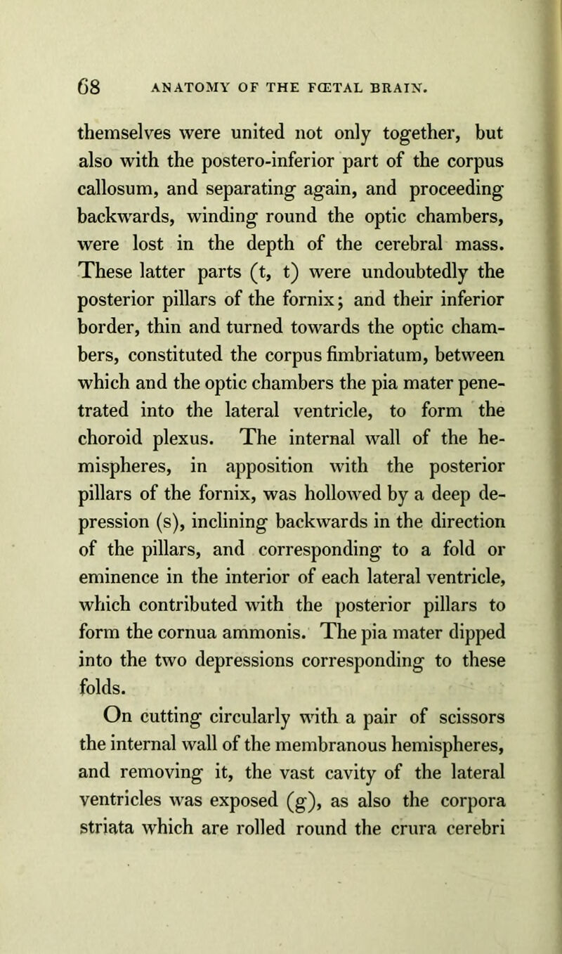 themselves were united not only together, but also with the postero-inferior part of the corpus callosum, and separating again, and proceeding backwards, winding round the optic chambers, were lost in the depth of the cerebral mass. These latter parts (t, t) were undoubtedly the posterior pillars of the fornix; and their inferior border, thin and turned towards the optic cham- bers, constituted the corpus fimbriatum, between which and the optic chambers the pia mater pene- trated into the lateral ventricle, to form the choroid plexus. The internal wall of the he- mispheres, in apposition with the posterior pillars of the fornix, was hollowed by a deep de- pression (s), inclining backwards in the direction of the pillars, and corresponding to a fold or eminence in the interior of each lateral ventricle, which contributed with the posterior pillars to form the cornua ammonis. The pia mater dipped into the two depressions corresponding to these folds. On cutting circularly with a pair of scissors the internal wall of the membranous hemispheres, and removing it, the vast cavity of the lateral ventricles was exposed (g), as also the corpora striata which are rolled round the crura cerebri