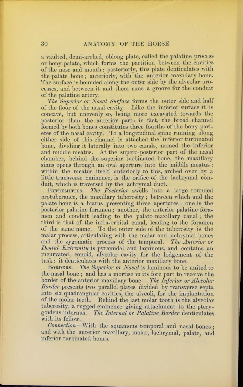 a vaulted, demi-arclied, oblong plate, called the palatine process or bony palate, Avliich forms the partition between the cavities of the nose and mouth: posteriorly, this plate denticulates with the palate bone ; anteriorly, with the anterior maxillary bone. The surface is bounded along the outer side by the alveolar pro- cesses, and between it and them runs a groove for the conduit of the palatine artery. TJie Superior or Nasal Surface forms the outer side and half of the floor of the nasal cavity. Like the inferior surface it is concave, but unevenly so, being more excavated towards the posterior than the anterior part: in fact, the broad channel formed by both bones constitutes three fourths of the bony pari- etes of the nasal cavity. To a longitudinal spine running along either side of this channel is attached the inferior turbinated bone, dividing it laterally into two canals, named the inferior and middle meatus. At the supero-posterior part of the nasal chamber, behind the superior turbinated bone, the maxillary sinus opens through an oval aperture into the middle meatus : within the meatus itself, anteriorly to this, arched over by a little transverse eminence, is the orifice of the lachrymal con- duit, which is traversed by the lachrymal duct. Extremities. The Posterior swells into a large rounded protuberance, the maxillary tuberosity; between Avhich and the palate bone is a hiatus presenting three apertures : one is the posterior palatine foramen; another, the anterior palatine fora- men and conduit leading to the palato-maxillary canal; the third is that of the infra-orbital canal, leading to the foramen of the same name. To the outer side of the tviberosity is the malar process, articulating Avith the malar and lachrymal bones and the zygomatic process of the temporal. The Anterior or Dental Extremity is pyramidal and laminous, and contains au incurvated, conoid, alveolar cavity for the lodgement of the tusk : it denticulates with the anterior maxillary bone. Borders. The Superior or Nasal is laminous to be united to the nasal bone ; and has a mortise in its fore part to receive the border of the anterior maxillary bone. The Inferior or Alveolar Border presents two parallel plates divided by transverse septa into six quadrangular cavities, the alveoli, for the implantation of the molar teeth. Behind the last molar tooth is the alveolar tuberosity, a rugged eminence giving attachment to the ptery- goideus internus. The Internal or Palatine Border denticulates with its fellow. Connection —With the squamous temporal and nasal bones; and with the anterior maxillary, malar, lachrymal, palate, and inferior turbinated bones.