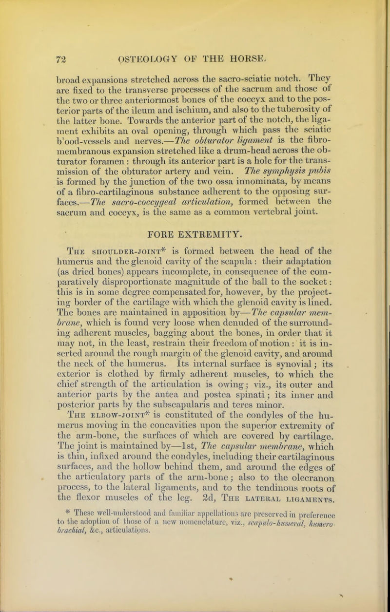 broad expansions stretched across the sacro-sciatic notch. They are fixed to the transverse processes of the sacrum and those of the two or three anteriormost bones of the coccyx and to the pos- terior parts of the ileum and ischium, and also to the tuberosity of the latter bone. Towards the anterior part of the notch, the liga- ment exhibits an oval opening, through which pass the sciatic b'ood-vessels and nerves.—The obturator ligament is the fibro- membranous expansion stretched like a drum-head across the ob- turator foramen : through its anterior part is a hole for the trans- mission of the obturator artery and vein. The symphysis pubis is formed by the junction of the two ossa innominata, by means of a fibro-cartilaginous substance adherent to the opposing sui'- faces.—The sacro-coccygeal articulation, formed between the sacrum and coccyx, is the same as a common vertebral joint. FORE EXTREMITY. The shoulder-joint* is formed between the head of the humerus and the glenoid cavity of the scapula : their adaptation (as dried bones) appears incomplete, in consequence of the com- paratively disproportionate magnitude of the ball to the socket: this is in some degree compensated for, however, by the project- ing border of the cartilage with which the glenoid cavity is lined. The bones are maintained in apposition by—The capsular mem- brane, which is found very loose when denuded of the surround- ing adherent muscles, bagging about the bones, in order that it may not, in the least, restrain their freedom of motion : it is in- serted around the rough margin of the glenoid cavity, and around the neck of the humerus. Its internal surface is synovial; its exterior is clothed by firmly adherent muscles, to which the chief strength of the articulation is owing; viz., its outer and anterior parts by the antca and postea spinati; its inner and posterior parts by the subscapularis and teres minor. The elbow-joint^ is constituted of the condyles of the hu- merus moving in the concavities upon the superior extremity of the arm-bone, the surfaces of which are covered by cartilage. The joint is maintained by—1st, The capsular membrane, which is thin, infixed around the condyles, including their cartilaginous surfaces, and the hollow behind them, and around the edges of the articulatory parts of the arm-bone; also to the olecranon process, to the lateral ligaments, and to the tendinous roots of the flexor muscles of the leg. 2d, The lateral ligaments. * These well-uiulerstood and r;iiiiili;i,r appellations arc preserved in preference to the adoiilion of those of a new nomenclature, viz., sccqtido-humeral, himero brachial, &c., articulations. '