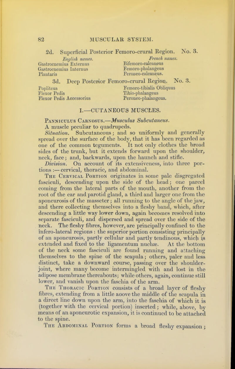 2d. Superficial Posterior Enylkh 7iames. Gastrocnemius Extenius Gastrocnemius Intcruus Plautaris 3d. Deep Posteinor Poplitcus Plexor Pedis Flexor Pedis Accessorius Femoro-crural Region. No. 3. French names. Bifemoro-calcaueus Pemoro-phalangeus Peroueo-calcaneus. Femoro-crural Region. No. 3. Pemoro-tibialis Obliquus Tibio-plialangeus Peroneo-phalangcus. I.—CUTANEOUS MUSCLES. Panniculus Carnosus.—Musculus Subcutaneus. A muscle peculiar to quadrupeds. Situation. Subcutaneous; and so uniformly and generally spread over the surface of the body, that it has been regarded as one of the common teguments. It not only clothes the broad sides of the trunk, but it extends forward upon the shoulder, neck, face; and, backwards, upon the haunch and stifle. Division. On account of its extensiveness, into three por- tions :— cervical, thoracic, and abdominal. The Cervical Portion originates in some pale disgregated fasciculi, descending upon the side of the head; one parcel coming from the lateral parts of the mouth, another from the root of the ear and parotid gland, a third and larger one from the aponeurosis of the masseter; all running to the angle of the jaw, and there collecting themselves into a fleshy band, which, after descending a little way lower down, again becomes resolved into separate fasciculi, and dispersed and spread over the side of the neck. The fleshy fibres, however, are principally confined to the infero-lateral regions : the superior portion consisting principally of an aponeurosis, partly cellular and partly tendinous, which is extended and fixed to the ligamentum nuchae. At the bottom of the neck some fasciculi are found running and attaching themselves to the spine of the scapula; others, paler and less distinct, take a doAvnward course, passing over the shoulder- joint, where many become intermingled with and lost in the adipose membrane thereabouts; while others, again, continue still lower, and vanish upon the faschia of the arm. The Thoracic Portion consists of a broad layer of fleshy fibres, extending from a little aoove the middle of the scapula in a direct line down upon the arm, into the faschia of which it is (together with the cervical portion) inserted; while, above, by means of an aponeurotic expansion, it is continued to be attached to the spine. The Abdominal Portion forms a broad fleshy expansion;