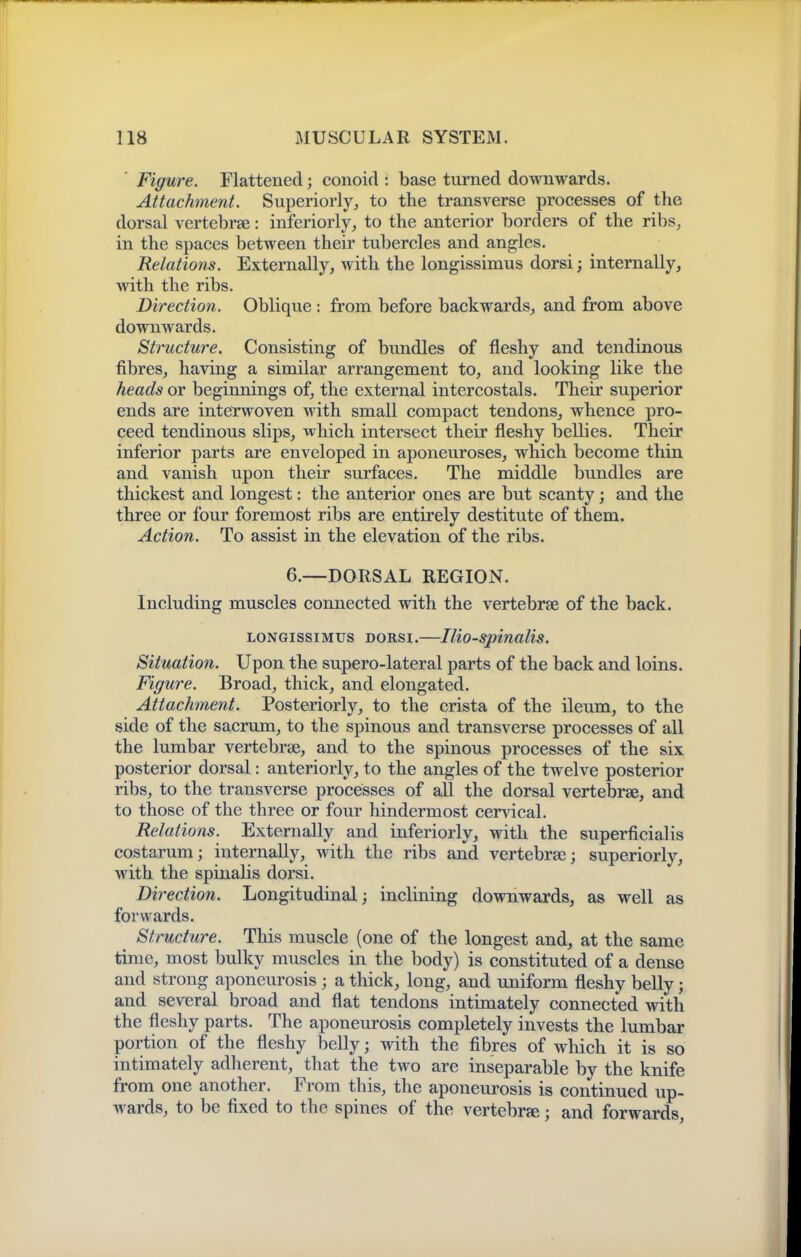 Figure. Flattened; conoid : base turned downwards. Attachment. Superiorlyj to the transverse processes of the dorsal vertebrae: inferiorly, to the anterior borders of the ribs, in the spaces between their tubercles and angles. Relations. Externally, with the longissimus dorsi; internally, with the ribs. Direction. Oblique : from before backwards, and from above downwards. Structure. Consisting of bundles of fleshy and tendinous fibres, having a similar arrangement to, and looking like the heads or beginnings of, the external intercostals. Their superior ends are interwoven with small compact tendons, whence pro- ceed tendinous slips, which intersect their fleshy bellies. Their inferior parts are enveloped in aponeuroses, which become thin and vanish upon their surfaces. The middle bundles are thickest and longest: the anterior ones are but scanty; and the three or four foremost ribs are entirely destitute of them. Action. To assist in the elevation of the ribs. 6.—DORSAL REGION. Including muscles connected with the vertebrae of the back. LONGISSIMUS DORsi.—lUo-spinalis. Situation. Upon the supero-lateral parts of the back and loins. Figure. Broad, thick, and elongated. Attachment. Posteriorly, to the crista of the ileum, to the side of the sacrum, to the spinous and transverse processes of all the lumbar vertebrae, and to the spinous processes of the six posterior dorsal: anteriorly, to the angles of the twelve posterior ribs, to the transverse processes of all the dorsal vertebrae, and to those of the three or four hindermost cervical. Relations. Externally and inferiorly, with the superficialis costarum; internally, with the ribs and vertebrae; superiorly, with the spinalis dorsi. Direction. Longitudinal; inclining downwards, as well as forwards. Structure. This muscle (one of the longest and, at the same time, most bulky muscles in the body) is constituted of a dense and strong aponeurosis ; a thick, long, and uniform fleshy belly; and several broad and flat tendons intimately connected with the fleshy parts. The aponeurosis completely invests the lumbar portion of the fleshy belly; with the fibres of which it is so intimately adherent, that the two are inseparable by the knife from one another. From this, the aponeurosis is continued up- wards, to be fixed to the spines of the vertebrje; and forwards.