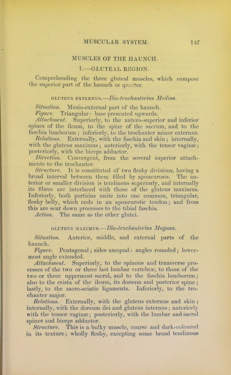 MUSCLES OF THE HAUNCH. 1.—GLUTEAL REGION. Compreliending the three ghiteal muscles, which compose the superior part of the hauuch or qu^irter. GLUTEUS EXTEUNus.—lUo-trochanterius Mediiis. Situation. Mesio-external part of the haunch. Figure. Triangular : base presented upAvards. Attachment. Superiorly, to the antero-superior and inferior spines of the ileum, to the spine of the sacrum, and to the faschia lumborum; inferiorly, to the trochanter minor externus. Relations. Externally, with the faschia and skin; internally, with the gluteus maximus; anteriorly, with the tensor vaginse; posteriorly, wath the biceps adductor. Direction. Convergent, from the several siiperior attach- ments to the trochanter. Structure. It is constituted of two fleshy divisions, haAdng a broad interval between them filled by aponeurosis. The an- terior or smaller division is tendinous STiperiorly, and internally its fi])res are interlaced with those of the gluteus maximus. Inferiorly, both portions unite into one common, triangular, fleshy belly, which ends in an aponeurotic tendon; and from this are sent down processes to the tibial faschia. Action. The same as the other glutei. GLUTEUS MAXIMUS.—Ilio-trochante7'ius Magnus. Situation. Anterior, middle, and external parts of the haunch. Figure. Pentagonal; sides unequal: angles rounded; lower- most angle extended. Attachment. Superiorly, to the spinous and transverse pro- cesses of the two or three last lumbar vertebras, to those of the two or three uppermost sacral, and to the faschia lumborum; also to the crista of the ileum, its dorsum and posterior spine; lastly, to the sacro-sciatic ligaments. Inferiorly, to the tro- chanter major. Relations. Externally, with the gluteus externus and skin; internally, with the dorsum ilei and gluteus internus; anteriorly with the tensor vaginae; posteriorly, with the lumbar and sacral spines and biceps adductor. Structure. This is a bulky muscle, coarse and dark-coloured in its texture; wholly fleshy, excepting some broad tendinous