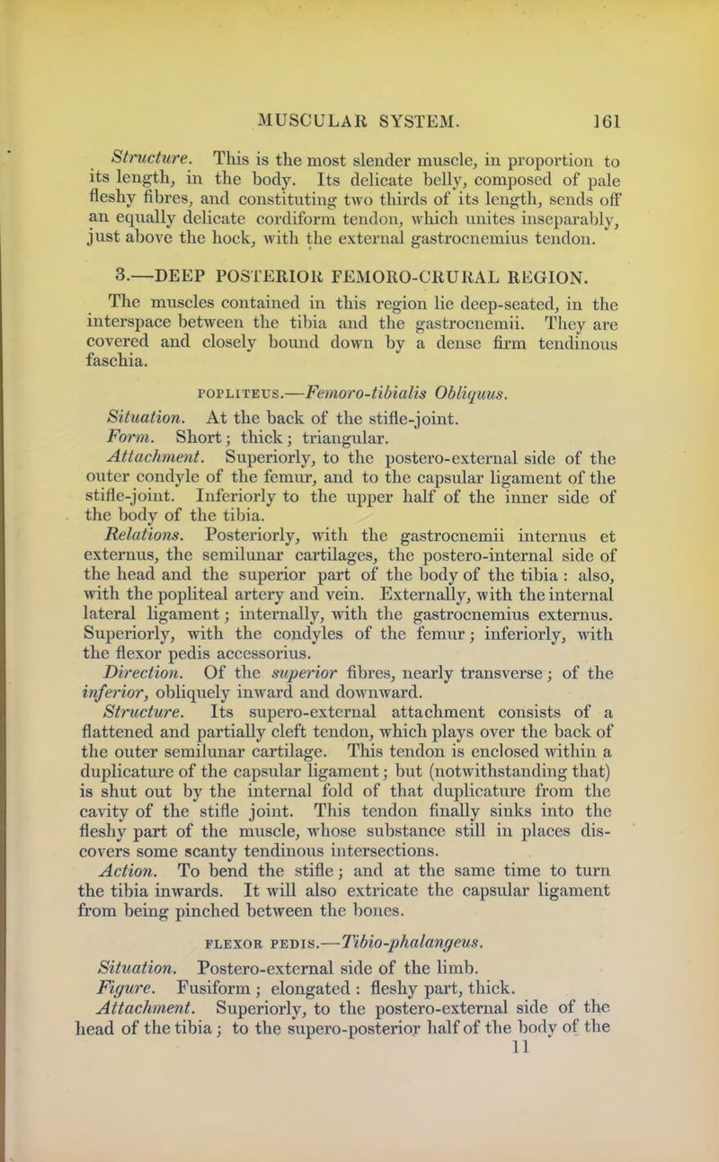 Structure. This is the most slender muscle, in proportion to its length, in the body. Its delicate belly, composed of pale fleshy fibres, and constituting two thirds of its length, sends off an equally delicate cordiform tendon, which unites inseparably, just above the hock, with the external gastrocnemius tendon. 3.—DEEP POSTERIOR FEMORO-CRURAL REGION. The muscles contained in this region lie deep-seated, in the interspace between the tibia and the gastrocnemii. They are covered and closely bound down by a dense firm tendinous faschia. poPLiTEus.—Femoro-tibialis Obliquus. Situation. At the back of the stifle-joint. Form. Short; thick; triangular. Attachment. Superiorly, to the postero-external side of the outer condyle of the femm*, and to the capsular ligament of the stifle-joint. Inferiorly to the upper half of the inner side of the body of the tibia. Relations. Posteriorly, with the gastrocnemii internus et externus, the semilunar cartilages, the postero-internal side of the head and the superior part of the body of the tibia : also, with the popliteal artery and vein. Externally, with the internal lateral ligament; internally, with the gastrocnemius externus. Superiorly, with the condyles of the femur; inferiorly, with the flexor pedis accessorius. Direction. Of the superior fibres, nearly transverse; of the inferior, obliquely inward and downward. Structure. Its supero-external attachment consists of a flattened and partially cleft tendon, which plays over the back of the outer semilunar cartilage. This tendon is enclosed within a duplicature of the capsular ligament; but (notwithstanding that) is shut out by the internal fold of that duplicature from the cavity of the stifle joint. This tendon finally sinks into the fleshy part of the muscle, whose substance still in places dis- covers some scanty tendinous intersections. Action. To bend the stifle; and at the same time to turn the tibia inwards. It will also extricate the capsular ligament from being pinched between the bones. FLEXOR PEDIS.—Tibio-phalangeus. Situation. Postero-external side of the limb. Figure. Fusiform ; elongated : fleshy part, thick. Attachment. Superiorly, to the postero-external side of the head of the tibia; to the supero-posterior half of the bodv of the 11