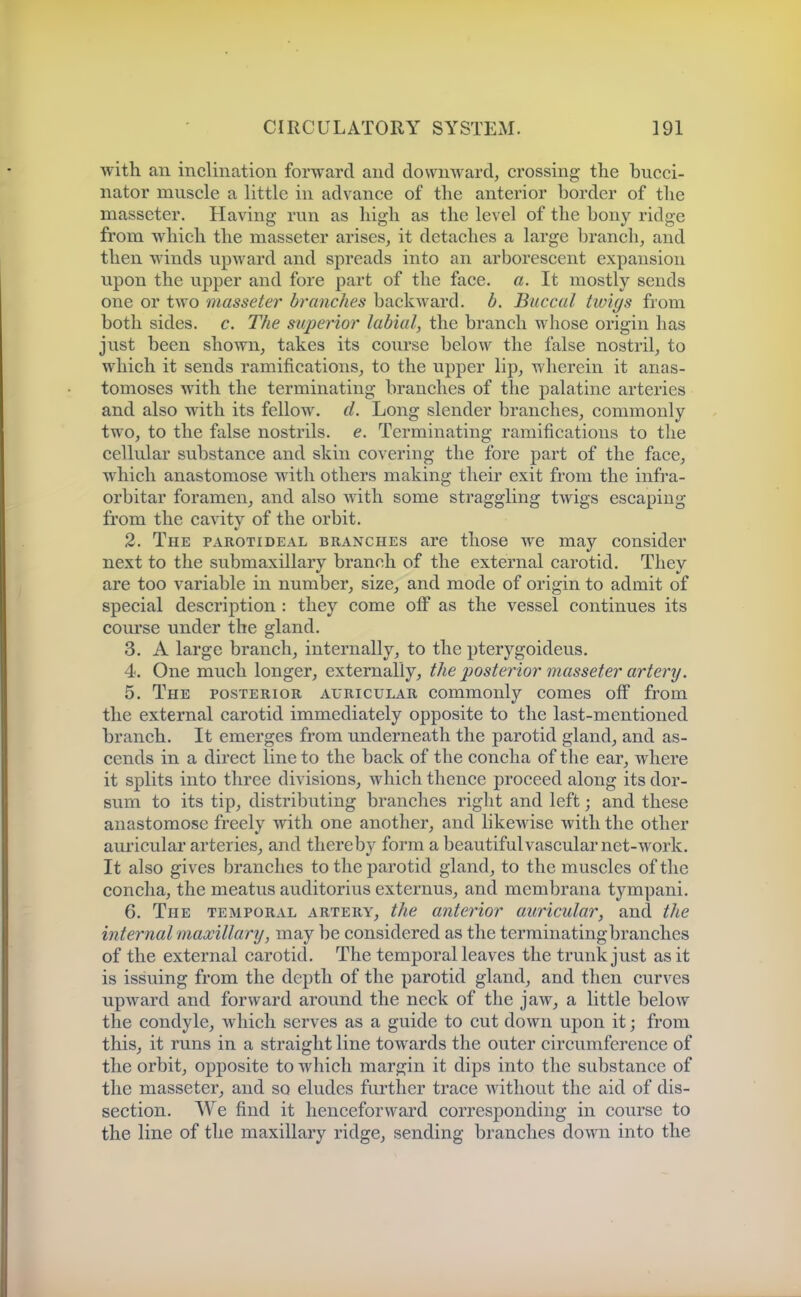 with an inclination forward and downward, crossing the bucci- nator muscle a little in advance of the anterior border of the masseter. Having run as high as the level of the bony ridge from which the masseter arises, it detaches a large branch, and then winds upward and spreads into an arborescent expansion upon the upper and fore part of the face. a. It mostly sends one or two masseter branches backward, b. Buccal tiviys from both sides, c. The superior labial, the branch whose origin has just been shown, takes its course below the false nostril, to which it sends ramifications, to the upper lip, wherein it anas- tomoses with the terminating branches of the palatine arteries and also with its fellow, d. Long slender branches, commonly two, to the false nostrils, e. Terminating ramifications to the cellular substance and skin covering the fore part of the face, which anastomose with others making their exit from the infra- orbitar foramen, and also with some straggling twigs escaping from the cavity of the orbit. 2. The parotideal branches are those we may consider next to the submaxillary branch of the external carotid. They are too variable in number, size^ and mode of origin to admit of special description : they come off as the vessel continues its course under the gland. 3. A large branch, internally, to the pterygoideus. 4. One much longer, externally, the posterior masseter artery. 5. The posterior auricular commonly comes off from the external carotid immediately opposite to the last-mentioned branch. It emerges from underneath the parotid gland, and as- cends in a direct line to the back of the concha of the ear, where it splits into three divisions, which thence proceed along its dor- sum to its tip, distributing branches right and left; and these anastomose freely with one another, and likewise with the other auricular arteries, and thereby form a beautiful vascular net-work. It also gives branches to the parotid gland, to the muscles of the concha, the meatus auditorius externus, and membrana tympani. 6. The temporal artery, the anterior auricular, and the internal maxillary, may be considered as the terminatingbranches of the external carotid. The temporal leaves the trunk just as it is issuing from the depth of the parotid gland, and then curves upward and forward around the neck of the jaw, a little below the condyle, which serves as a guide to cut down upon it; from this, it runs in a straight line towards the outer circumference of the orbit, opposite to which margin it dips into the substance of the masseter, and so eludes further trace without the aid of dis- section. We find it henceforward corresponding in course to the line of the maxillary ridge, sending branches down into the