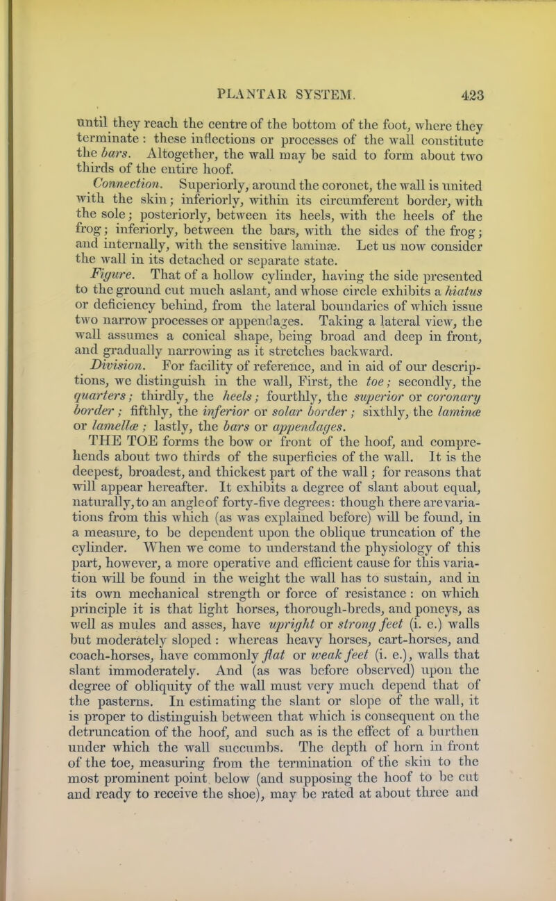 until they reach the centre of the bottom of tlie foot, where they terminate : these inflections or processes of the wall constitute the bars. Altogether, the wall may be said to form about two thirds of the entire hoof. Connection. Superiorly, around the coronet, the wall is united with the skin; inferiorly, within its circumferent border, with the sole; posteriorly, between its heels, with the heels of the frog; inferiorly, between the bars, with the sides of the frog; and internally, with the sensitive laminae. Let us now consider the wall in its detached or separate state. Figure. That of a hollow cylinder, having the side presented to the ground cut much aslant, and whose circle exhibits a hiatus or deficiency behind, from the lateral boundaries of which issue two narrow processes or appendages. Taking a lateral view, the wall assumes a conical shape, being broad and deep in front, and gradually narromng as it stretches backward. Division. For facility of reference, and in aid of our descrip- tions, we distinguish in the wall. First, the toe; secondly, the quarters; thirdly, the heels; fourthly, the superior or coronary border; fifthly, the inferior or solar border; sixthly, the lamina or lamell(B ; lastly, the bars or appendages. THE TOE forms the bow or front of the hoof, and compre- hends about two thirds of the superficies of the wall. It is the deepest, broadest, and thickest part of the wall; for reasons that will appear hereafter. It exhibits a degree of slant about equal, naturally, to an angle of forty-five degrees: though there are varia- tions from this which (as was explained before) will be found, in a measure, to be dependent upon the oblique truncation of the cylinder. When we come to understand the physiology of this part, however, a more operative and efficient cause for this varia- tion will be found in the weight the wall has to sustain, and in its own mechanical strength or force of resistance : on which principle it is that light horses, thorough-breds, and poneys, as well as mules and asses, have upright or strong feet (i. e.) walls but moderately sloped : whereas heavy horses, cart-horses, and coach-horses, have commonly or weak feet (i. e.), walls that slant immoderately. And (as was before observed) upon the degree of obliquity of the wall must very much depend that of the pasterns. In estimating the slant or slope of the wall, it is proper to distinguish between that which is consequent on the detruncation of the hoof, and such as is the effect of a burthen under which the wall succumbs. The depth of horn in front of the toe, measuring from the termination of the skin to the most prominent point below (and supposing the hoof to be cut and ready to receive the shoe), may be rated at about three and