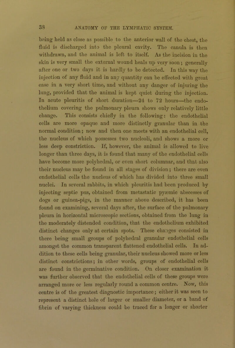 being held as close as possible to the anterior wall of the chest, the fluid is discharged into the pleural cavity. The canula is then withdrawn, and the animal is left to itself. As the incision in the skin is very small the external wound heals up very soon; generally after one or two days it is hardly to be detected. In this way the injection of any fluid and in any quantity can be effected with groat ease in a very short time, and without any danger of injuring the lung, provided that the animal is kept quiet during the injection. In acute pleuritis of short duration—24 to 72 hours—the endo- thelium covering the pulmonary pleura shows only relatively little change. This consists chiefly in the following: the endothelial cells are more opaque and more distinctly granular than in the normal condition; now and then one meets with an endothelial cell, the nucleus of which possesses two nucleoli, and shows a more or less deep constriction. If, however, the animal is allowed to live longer than three days, it is found that many of the endothelial cells have become more polyhedral, or even short columnar, and that also their nucleus may be found in all stages of division; there are even endothelial cells the nucleus of which has divided into three small nuclei. In several rabbits, in which pleuritis had been produced by injecting septic pus, obtained from metastatic pyaemic abscesses of dogs or guinea-pigs, in the manner above described, it lias been found on examining, several days after, the surface of the pulmonary pleura in horizontal microscopic sections, obtained from the lung in the moderately distended condition, that the endothelium exhibited distinct changes only at certain spots. These changes consisted in there being small groups of polyhedral granidar endothelial cells amongst the common transparent flattened endothelial cells. In ad- dition to these cells being granular, their nucleus showed more or less distinct constrictions; in other words, groups of endothelial cells are found in the germinative condition. On closer examination it was further observed that the endothelial cells of these groups were arranged more or less regularly round a common centre. Now, this centre is of the greatest diagnostic importance; either it was seen to represent a distinct hole of larger or smaller diameter, or a band ot fibrin of varying thickness could be traced for a longer or shorter