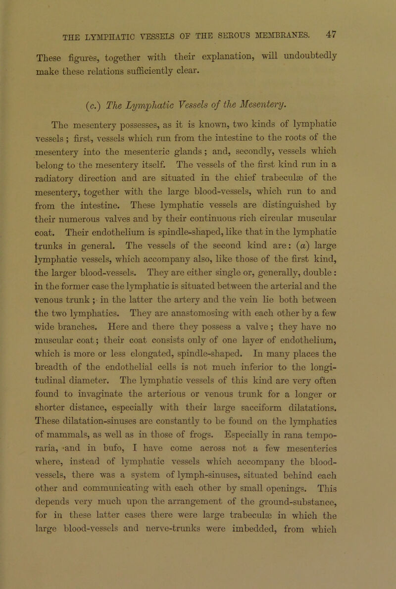 These figures, together with their explanation, will undoubtedly make these relations sufficiently clear. (c.) The Lymphatic Vessels of the Mesentery. The mesentery possesses, as it is known, two kinds of lymphatic vessels ; first, vessels which run from the intestine to the roots of the mesentery into the mesenteric glands; and, secondly, vessels which belong to the mesentery itself. The vessels of the first kind run in a radiatory direction and are situated in the chief trabeculae of the mesentery, together with the large blood-vessels, which rim to and from the intestine. These lymphatic vessels are distinguished by their numerous valves and by their continuous rich circular muscular coat. Their endothelium is spindle-shaped, like that in the lymphatic trunks in general. The vessels of the second kind are: (a) large lymphatic vessels, which accompany also, like those of the first kind, the larger blood-vessels. They are either single or, generally, double : in the former case the lymphatic is situated between the arterial and the venous trunk ; in the latter the artery and the vein lie both between the two lymphatics. They are anastomosing with each other by a few wide branches. Here and there they possess a valve; they have no muscular coat; their coat consists only of one layer of endothelium, winch is more or less elongated, spindle-shaped. In many places the breadth of the endothelial cells is not much inferior to the longi- tudinal diameter. The lymphatic vessels of this kind are very often found to invaginate the arterious or venous trunk for a longer or shorter distance, especially with their large sacciform dilatations. These dilatation-sinuses are constantly to be found on the lymphatics of mammals, as well as in those of frogs. Especially in rana tempo- raria, -and in bufo, I have come across not a few mesenteries where, instead of lymphatic vessels which accompany the blood- vessels, there was a system of lymph-sinuses, situated behind each other and communicating with each other by small openings. This depends very much upon the arrangement of the ground-substance, for in these latter cases there were large trabeculse in which the large blood-vessels and nerve-trunks were imbedded, from which