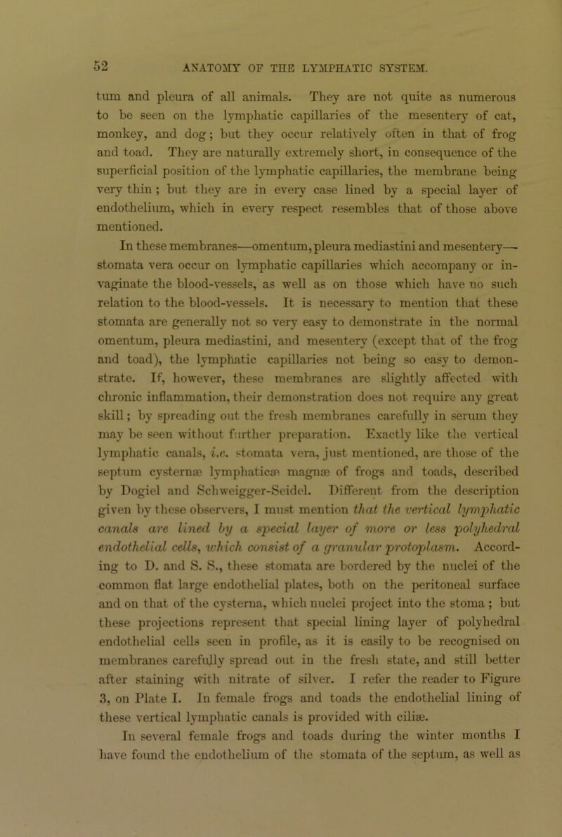 turn and pleura of all animals. They are not quite as numerous to be seen on the lymphatic capillaries of the mesentery of cat, monkey, and dog; but they occur relatively often in that of frog and toad. They are naturally extremely short, in consequence of the superficial position of the lymphatic capillaries, the membrane being very thin; but they are in every case lined by a special layer of endothelium, which in every respect resembles that of those above mentioned. In these membranes—omentum, pleura mediastini and mesentery—■ stomata vera occur on lymphatic capillaries which accompany or in- vaginate the blood-vessels, as well as on those which have no such relation to the blood-vessels. It is necessary to mention that these stomata are generally not so very easy to demonstrate in the normal omentum, pleura mediastini, and mesentery (except that of the frog and toad), the lymphatic capillaries not being so easy to demon- strate. If, however, these membranes are slightly affected with chronic inflammation, their demonstration does not require any great skill; by spreading out the fresh membranes carefully in serum they may be seen without further preparation. Exactly like the vertical lymphatic canals, i.c. stomata vera, just mentioned, are those of the septum cystern® lymphatic® magn® of frogs and toads, described by Dogiel and Schweigger-Seidel. Different from the description given by these observers, I must mention that the vertical lymphatic canals are lined by a special layer of more or less polyhedral endothelial cells, which consist of a (jranular protoplasm. Accord- ing to D. and S. S., these stomata are bordered by the nuclei of the common flat large endothelial plates, both on the peritoneal surface and on that of the cystema, which nuclei project into the stoma ; but these projections represent that special lining layer of polyhedral endothelial cells seen in profile, as it is easily to be recognised on membranes carefully spread out in the fresh state, and still better after staining \Vith nitrate of silver. I refer the reader to Figure 3, on Plate I. In female frogs and toads the endothelial lining of these vertical lymphatic canals is provided with cili®. In several female frogs and toads during the winter months I have found the endothelium of the stomata of the septum, as well as