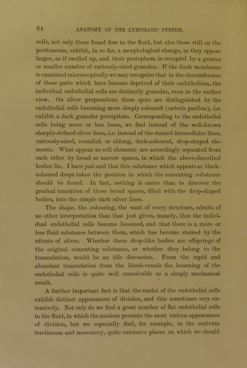 cells, not only those found free in the fluid, but also those still on the peritoneum, exhibit, in so far, a morphological change, as they appear larger, as if swelled up, and their protoplasm is occupied by a greater or smaller number of variously-sized granules. If the fresh membrane is examined microscopically we may recognise that in the circumference of those parts which have become deprived of their endothelium, the individual endothelial cells are distinctly granular, even in the surface view. On silver preparations these spots are distinguished by the endothelial cells becoming more deeply coloured (caeteris paribus), i.e. exhibit a dark granular precipitate. Corresponding to the endothelial cells being more or less loose, we find instead of the well-known sharply-defined silver lines, i.e. instead of the stained intercellular lines, variously-sized, roundish or oblong, dark-coloured, drop-shaped ele- ments. What appear as cell elements are accordingly separated from each other by broad or narrow spaces, in which the above-described bodies lie. I have just said that this substance which appears as black- coloured drops takes the position in which the cementing substance should be found. In fact, nothing is easier than to discover the gradual transition of those broad spaces, filled with the drop-shaped bodies, into the simple dark silver lines. The shape, the colouring, the want of every structure, admits of no other interpretation than that just given, namely, that the indivi- dual endothelial cells become loosened, and that there is a more or less fluid substance between them, which has become stained by the nitrate of silver. Whether these drop-like bodies are offsprings of the original cementing substance, or whether they belong to the transudation, would be an idle discussion. From the rapid and abundant transudation from the blood-vessels the loosening of the endothelial cells is quite well conceivable as a simply mechanical residt. A further important fact is that the nuclei of the endothelial cells exhibit distinct appearances of division, and this sometimes very ex- tensively. Not only do we find a great number of flat endothelial cells in the flidd, in which the nucleus presents the most various appearances of division, but we especially find, for example, in the centrum tendineum and mesentery, quite extensive places on which we should