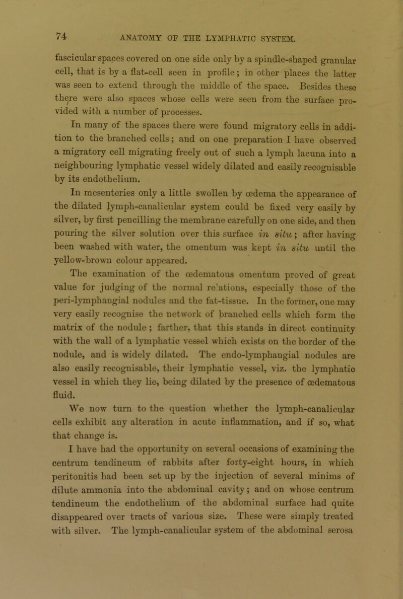 fascicular spaces covered on one side only by a spindle-shaped granular cell, that is hy a flat-cell seen in profile; in other places the latter was seen to extend through the middle of the space. Besides these there were also spaces whose cells were seen from the surface pro- vided with a number of processes. In many of the spaces there were found migratory cells in addi- tion to the branched cells; and on one preparation I have observed a migratory cell migrating freely out of such a lymph lacuna into a neighbouring lymphatic vessel widely dilated and easily recognisable by its endothelium. In mesenteries only a little swollen by oedema the appearance of the dilated lymph-canalicular system could be fixed very easily by silver, by first pencilling the membrane carefully on one side, and then pouring the silver solution over this surface in situ; after having been washed with water, the omentum was kept in situ until the yellow-brown colour appeared. The examination of the oedematous omentum proved of great value for judging of the normal relations, especially those of the peri-lymphangial nodules and the fat-tissue. In the former, one may very easily recognise the network of branched cells which form the matrix of the nodule; farther, that this stands in direct continuity with the wall of a lymphatic vessel which exists on the border of the nodule, and is widely dilated. The endo-lymphangial nodules are also easily recognisable, their lymphatic vessel, viz. the lymphatic vessel in which they lie, being dilated by the presence of oedematous fluid. We now turn to the question whether the lymph-canalicular cells exhibit any alteration in acute inflammation, and if so, what that change is. I have had the opportunity on several occasions of examining the centrum tendineum of rabbits after forty-eight hours, in which peritonitis had been set up by the injection of several minims of dilute ammonia into the abdominal cavity; and on whose centrum tendineum the endothelium of the abdominal surface had quite disappeared over tracts of various size. These were simply treated with silver. The lymph-canalicular system of the abdominal serosa