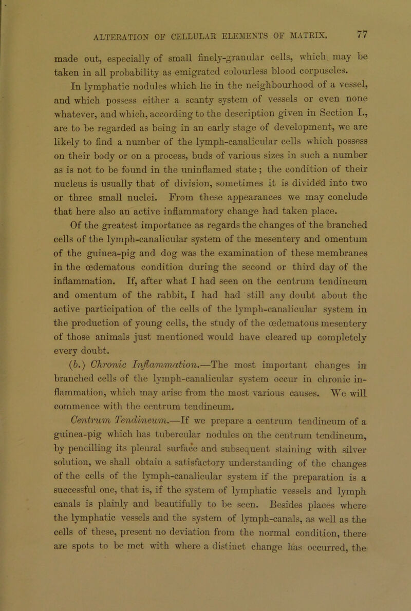 made out, especially of small finely-granular cells, which may he taken in all probability as emigrated colourless blood corpuscles. In lymphatic nodules which lie in the neighbourhood of a vessel, and which possess either a scanty system of vessels or even none whatever, and which, according to the description given in Section I., are to be regarded as being in an early stage of development, we are likely to find a number of the lympli-canalicular cells which possess on their body or on a process, buds of various sizes in such a number as is not to be found in the uninflamed state; the condition of their nucleus is usually that of division, sometimes it is divided into two or three small nuclei. From these appearances we may conclude that here also an active inflammatory change had taken place. Of the greatest importance as regards the changes of the branched cells of the lymph-canalicular system of the mesentery and omentum of the guinea-pig and dog was the examination of these membranes in the oedematous condition during the second or third day of the inflammation. If, after what I had seen on the centrum tendineura and omentum of the rabbit, I had had still any doubt about the active participation of the cells of the lympli-canalicular system in the production of young cells, the study of the oedematous mesentery of those animals just mentioned would have cleared up completely every doubt. (b.) Chronic Inflammation.—The most important changes in branched cells of the lympli-canalicular system occur in chronic in- flammation, which may arise from the most various causes. We will commence with the centrum tendineum. Centrum Tendineum.—If we prepare a centrum tendineum of a guinea-pig which has tubercular nodules on the centrum tendineum, by pencilling its pleural surface and subsequent staining with silver solution, we shall obtain a satisfactory understanding of the changes of the cells of the lymph-canalicular system if the preparation is a successful one, that is, if the system of lymphatic vessels and lymph canals is plainly and beautifully to be seen. Besides places where the lymphatic vessels and the system of lymph-canals, as well as the cells of these, present no deviation from the normal condition, there are spots to be met with where a distinct change has occurred, the