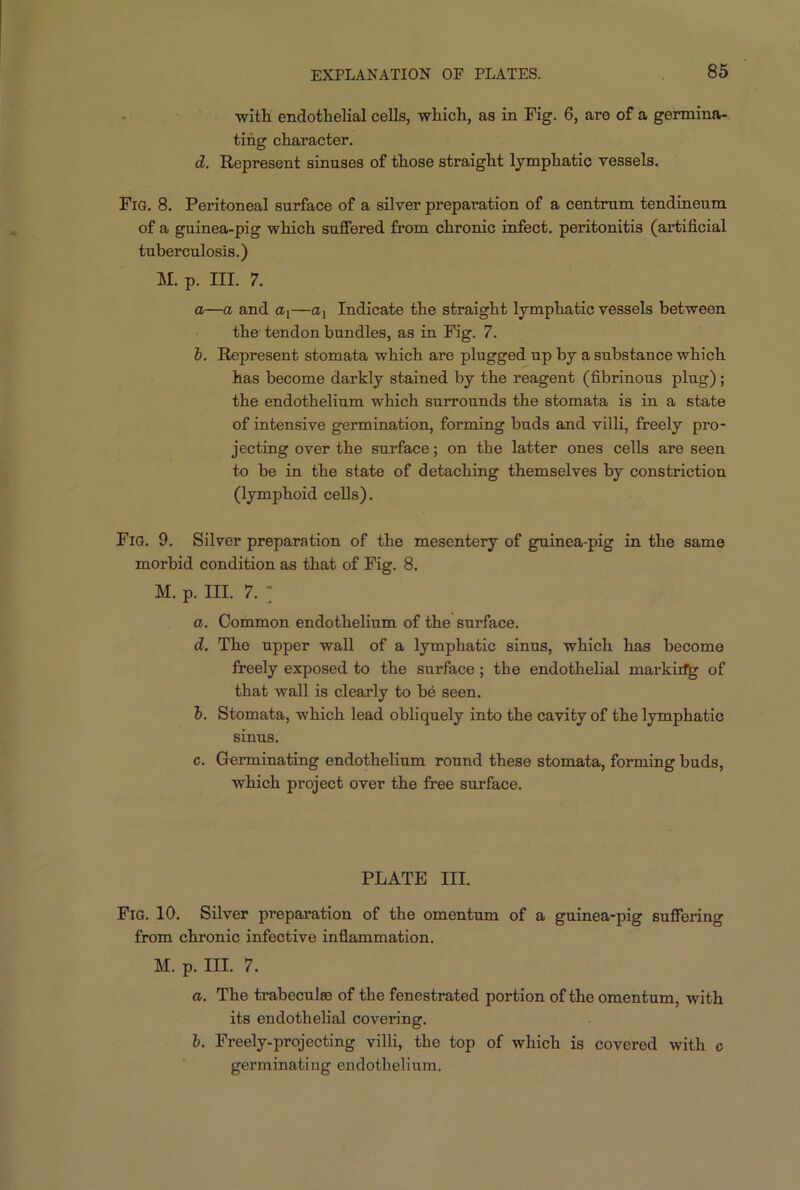 •with endothelial cells, which, as in Fig. 6, are of a germina- ting character. d. Represent sinuses of those straight lymphatic vessels. Fig. 8. Peritoneal surface of a silver preparation of a centrum tendineum of a guinea-pig which suffered from chronic infect, peritonitis (artificial tuberculosis.) M. p. III. 7. a—a and a1—ax Indicate the straight lymphatic vessels between the tendon bundles, as in Fig. 7. b. Represent stomata which are plugged up by a substance which has become darkly stained by the reagent (fibrinous plug); the endothelium which surrounds the stomata is in a state of intensive germination, forming buds and villi, freely pro- jecting over the surface; on the latter ones cells are seen to be in the state of detaching themselves by constriction (lymphoid cells). Fig. 9. Silver preparation of the mesentery of guinea-pig in the same morbid condition as that of Fig. 8. m. p. m. 7. • a. Common endothelium of the surface. d. The upper wall of a lymphatic sinus, which has become freely exposed to the surface; the endothelial marking of that wall is clearly to be seen. b. Stomata, which lead obliquely into the cavity of the lymphatic sinus. c. Germinating endothelium round these stomata, forming buds, which project over the free surface. PLATE III. Fig. 10. Silver preparation of the omentum of a guinea-pig suffering from chronic infective inflammation. m. p. m. 7. a. The trabeculae of the fenestrated portion of the omentum, with its endothelial covering. 1. Freely-projecting villi, the top of which is covered with c germinating endothelium.