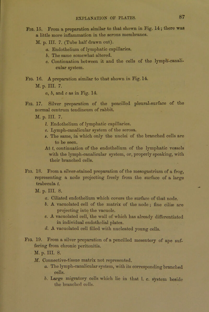 Fio. 15. From a preparation similar to that shown in Fig. 14 ; there was a little more inflammation in the serons membranes. M. p. Iir. 7. (Tube half drawn out). a. Endothelium of lymphatic capillaries. b. The same somewhat altered. c. Continuation between it and the cells of the lymph'-canali- cular system. Fig. 16. A preparation similar to that shown in Fig. 14. M. p. m. 7. a, b, and c as in Fig. 14. Fig. 17. Silver preparation of the pencilled pleural-surface of tho normal centrum tendineum of rabbit. M. p. III. 7. 1. Endothelium of lymphatic capillaries, c. Lymph-canalicular system of the serosa. s. The same, in which only the nuclei of the branched cells are to be seen. At t, continuation of the endothelium of the lymphatic vessels with the lymph-canalicular system, or, properly speaking, with their branched cells. Fig. 18. From a silver-stained preparation of the mesogastrium of a frog, representing a node projecting freely from the surface of a large trabecula t. M. p. III. 8. a. Ciliated endothelium which covers the surface of that node. b. A vacuolated cell of the matrix of the node ; fine ciliaa are projecting into the vacuole. c. A vacuolated cell, the wall of which has already differentiated in individual endothelial plates. d. A vacuolated cell filled with nucleated young cells. Fig. 19. From a silver preparation of a pencilled mesentery of ape suf- fering from chronic peritonitis. M. p. III. 8. M. Connective-tissue matrix not represented. a. The lymph-canalicular system, with its corresponding branched cells. b. Large migratory cells which lie in that 1. c. system beside the branched cells.