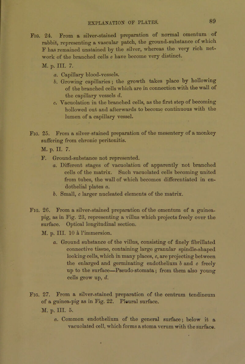 Fig. 24. From a silver-stained preparation of normal omentum of rabbit, representing a vascular patch, the ground-substance of which F has remained unstained by the silver, whereas the very rich net- work of the branched cells e have become very distinct. M. p. III. 7. a. Capillary blood-vessels. b. Growing capillaries; the growth takes place by hollowing of the branched cells which are in connection with the wall of the capillary vessels d. c. Vacuolation in the branched cells, as the first step of becoming hollowed out and afterwards to become continuous with the lumen of a capillary vessel. Fig. 25. From a silver-stained preparation of the mesentery of a monkey suffering from chronic peritonitis. M. p. II. 7. F. Ground-substance not represented. a. Different stages of vacuolation of apparently not branched cells of the matrix. Such vacuolated cells becoming united from tubes, the wall of which becomes differentiated in en- dothelial plates a. b. Small, c larger nucleated elements of the matrix. Fig. 26. From a silver-stained preparation of the omentum of a guinea- pig, as in Fig. 23, representing a villus which projects freely over the surface. Optical longitudinal section. M. p. III. 10 a l’immersion. a. Ground substance of the villus, consisting of finely fibrillated connective tissue, containing large granular spindle-shaped looking cells, which in many places, c, are projecting between the enlarged and germinating endothelium b and c freely up to the surface—Pseudo-stomata; from them also young cells grow up, d. Fig. 27. From a silver-stained preparation of the centrum tendineum of a guinea-pig as in Fig. 22. Pleural surface. M. p. III. 5. a. Common endothelium of the general surface; below it a vacuolated cell, which forms a stoma verum with the surface.