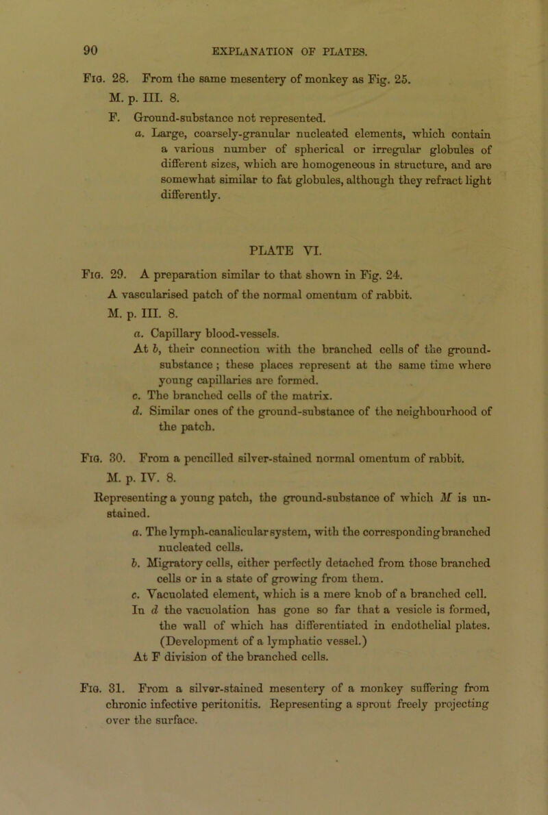 Fig. 28. From the Bame mesentery of monkey as Fig. 25. m. P. m. 8. F. Ground-substance not represented. a. Large, coarsely-granular nucleated elements, which contain a various number of spherical or irregular globules of different sizes, wbicb are homogeneous in structure, and are somewhat similar to fat globules, although they refract light differently. PLATE VI. Fig. 29. A preparation similar to that shown in Fig. 24. A vascularised patch of the normal omentum of rabbit. m. P. m. 8. a. Capillary blood-vessels. At b, their connection with the branched cells of the ground- substance ; these places represent at the same time where young capillaries are formed. c. The branched cells of the matrix. d. Similar ones of the ground-substance of the neighbourhood of the patch. Fig. 30. From a pencilled silver-stained normal omentum of rabbit. M. p. IV. 8. Representing a young patch, the ground-substance of which M is un- stained. a. The lymph-canalicular system, with the correspondingbranched nucleated cells. b. Migratory cells, either perfectly detached from those branched cells or in a state of growing from them. c. Vacuolated element, which is a mere knob of a branched cell. In d the vacuolation has gone so far that a vesicle is formed, the wall of which has differentiated in endothelial plates. (Development of a lymphatic vessel.) At F division of the branched cells. Fig. 31. From a silver-stained mesentery of a monkey suffering from chronic infective peritonitis. Representing a sprout freely projecting over the surface.