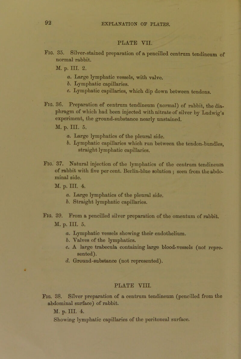 PLATE VII. Fio. 35. Silver-stained preparation of a pencilled centrum tendineum of normal rabbit. M. p. III. 2. а. Large lymphatic vessels, with valve. б. Lymphatic capillaries. c. Lymphatic capillaries, which dip down between tendons. FiO. 36. Preparation of centrum tendineum (normal) of rabbit, the dia- phragm of which had been injected with nitrate of silver by Ludwig’s experiment, the ground-substance nearly unstained. M. p. III. 5. a. Large lymphatics of the pleural side. b. Lymphatic capillaries which run between the tendon-bundles, straight lymphatic capillaries. Fio. 37. Natural injection of the lymphatics of the centrum tendineum of rabbit with five percent. Berlin-blue solution ; seen from the abdo- minal side. M. p. III. 4. a. Large lymphatics of the pleural side. b. Straight lymphatic capillaries. Fio. 39. From a pencilled silver preparation of the omentum of rabbit. M. p. III. 5. a. Lymphatic vessels showing their endothelium. b. Valves of the lymphatics. c. A large trabecula containing large blood-vessels (not repre- sented). d. Ground-substance (not represented). PLATE VIII. Fio. 38. Silver preparation of a centrum tendineum (pencilled from the abdominal surface) of rabbit. M. p. III. 4. Showing lymphatic capillaries of the peritoneal surface.