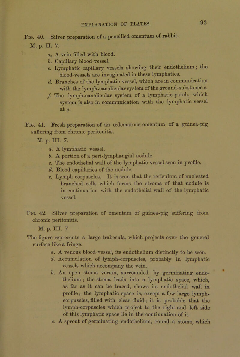 Fiq. 40. Silver preparation of a pencilled omentum of rabbit. M. p. H. 7. a. A vein filled with blood. b. Capillary blood-vessel. c. Lymphatic capillary vessels showing their endothelium; the blood-vessels are invaginated in these lymphatics. d. Branches of the lymphatic vessel, which are in communication with the lymph-canalicular system of the ground-substance e. f. The lymph-canalicular system of a lymphatic patch, which system is also in communication with the lymphatic vessel at g. Fig. 41. Fresh preparation of an cedematous omentum of a guinea-pig suffering from chronic peritonitis. M. p. III. 7. a. A lymphatic vessel. b. A portion of a peri-lymphangial nodule. c. The endothelial wall of the lymphatic vessel seen in profile. d. Blood capillaries of the nodule. e. Lymph corpuscles. It is seen that the reticulum of nucleated branched cells which forms the stroma of that nodule is in continuation writh the endothelial wall of the lymphatic vessel. Fig. 42. Silver preparation of omentum of guinea-pig suffering from chronic peritonitis. M. p. ILL 7 The figure represents a large trabecula, which projects over the general surface like a fringe. a. A venous blood-vessel, its endothelium distinctly to be seen. d. Accumulation of lymph-corpuscles, probably in lymphatic vessels which accompany the vein. b. An open stoma veruin, surrounded by germinating endo- thelium ; the stoma leads into a lymphatic space, which, as far as it can be traced, shows its endothelial wall in profile; the lymphatic space is, except a few large lymph- corpuscles, filled with clear fluid; it is probable that the lymph-corpuscles which project to the right and left side of this lymphatic space lie in the continuation of it. c. A sprout of germinating endothelium, round a stoma, which