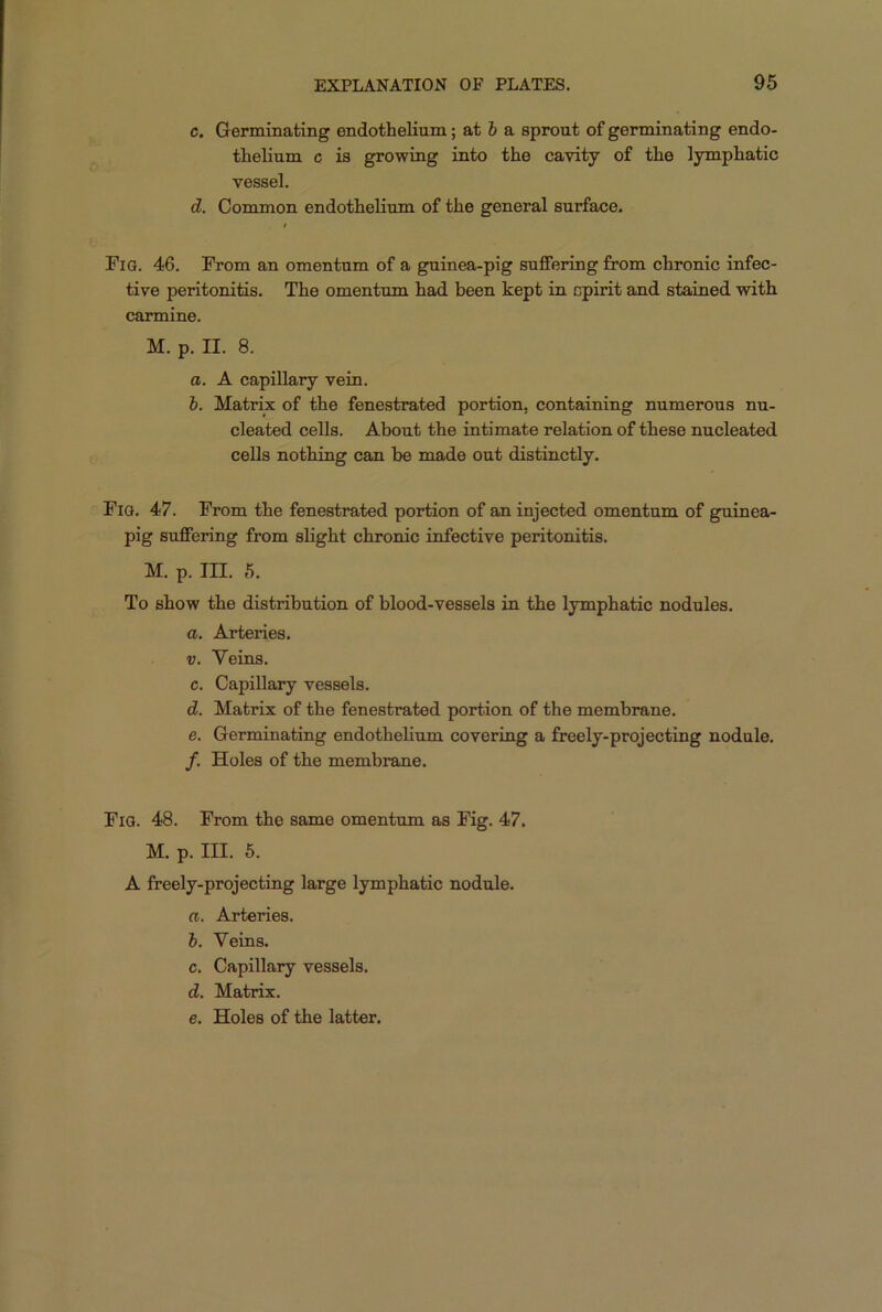 c. Germinating endothelium; at ft a sprout of germinating endo- thelium c is growing into the cavity of the lymphatic vessel. d. Common endothelium of the general surface. i Fig. 46. From an omentum of a guinea-pig suffering from chronic infec- tive peritonitis. The omentum had been kept in cpirit and stained with carmine. M. p. II. 8. a. A capillary vein. ft. Matrix of the fenestrated portion, containing numerous nu- cleated cells. About the intimate relation of these nucleated cells nothing can be made out distinctly. Fig. 47. From the fenestrated portion of an injected omentum of guinea- pig suffering from slight chronic infective peritonitis. m. p. in. 5. To show the distribution of blood-vessels in the lymphatic nodules. a. Arteries. v. Veins. c. Capillary vessels. d. Matrix of the fenestrated portion of the membrane. e. Germinating endothelium covering a freely-projecting nodule. /. Holes of the membrane. Fig. 48. From the same omentum as Fig. 47. M. p. III. 5. A freely-projecting large lymphatic nodule. a. Arteries, ft. Veins. c. Capillary vessels. d. Matrix. e. Holes of the latter.