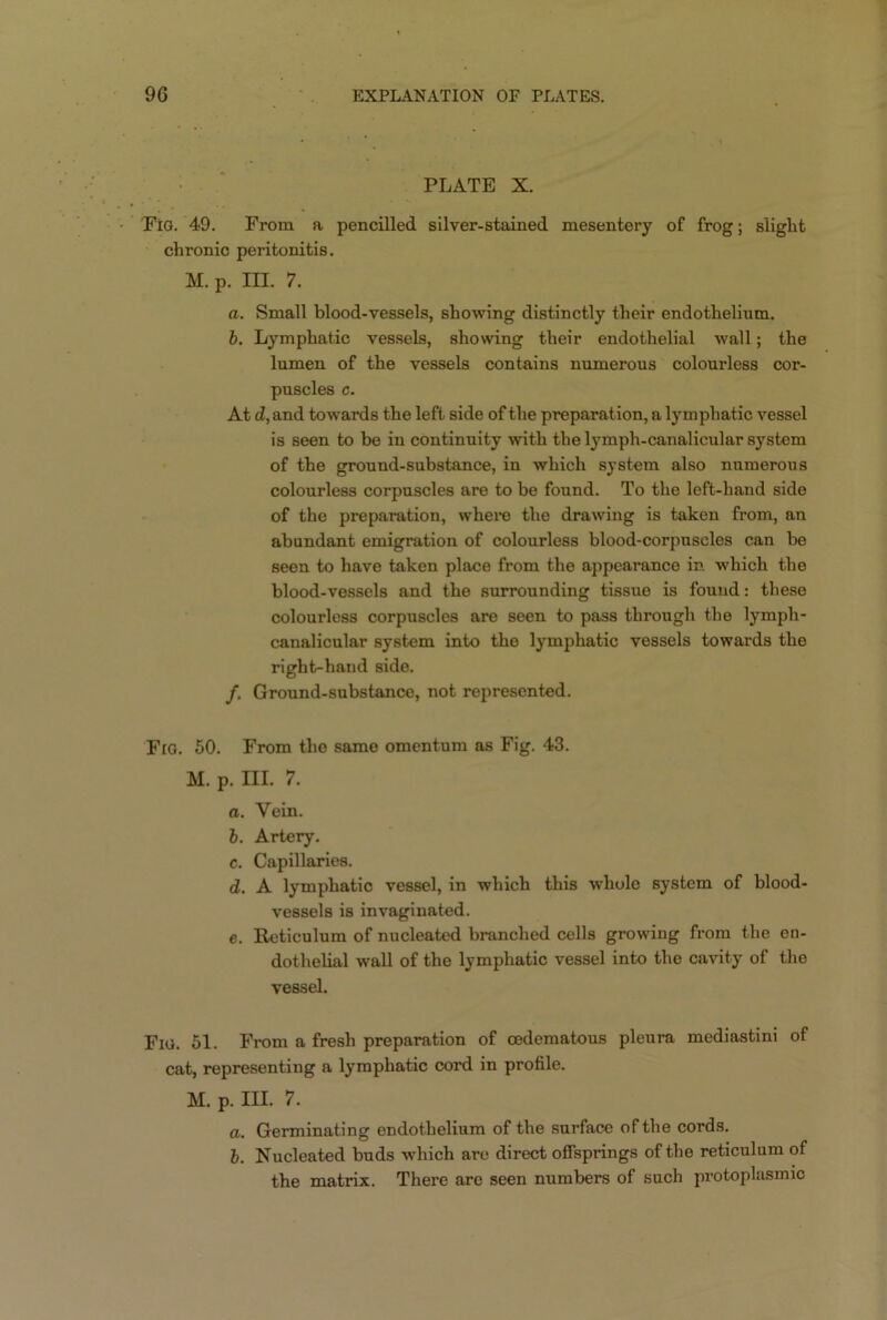 PLATE X. Flo. 49. From a pencilled silver-stained mesentery of frog; slight chronic peritonitis. M. p. III. 7. a. Small blood-vessels, showing distinctly their endothelium. b. Lymphatic vessels, showing their endothelial wall; the lumen of the vessels contains numerous colourless cor- puscles c. At d, and towards the left side of the preparation, a lymphatic vessel is seen to be in continuity with the lymph-canalicular system of the ground-substance, in which system also numerous colourless corpuscles are to be found. To the left-hand side of the preparation, where the drawing is taken from, an abundant emigration of colourless blood-corpuscles can be seen to have taken place from the appearance in. which the blood-vessels and the surrounding tissue is found: these colourless corpuscles are seen to pass through the lymph- canalicular system into the lymphatic vessels towards the right-hand side. f. Ground-substance, not represented. Fig. 50. From the same omentum as Fig. 43. m. p. m. 7. a. Vein. b. Artery. c. Capillaries. d. A lymphatic vessel, in which this whole system of blood- vessels is invaginated. e. Reticulum of nucleated branched cells growing from the en- dothelial wall of the lymphatic vessel into the cavity of the vessel. Fig. 51. From a fresh preparation of cedematous pleura mediastini of cat, representing a lymphatic cord in profile. M. p. HI. 7. a. Germinating endothelium of the surface of the cords. b. Nucleated buds which are direct offsprings of the reticulum of the matrix. There are seen numbers of such protoplasmic