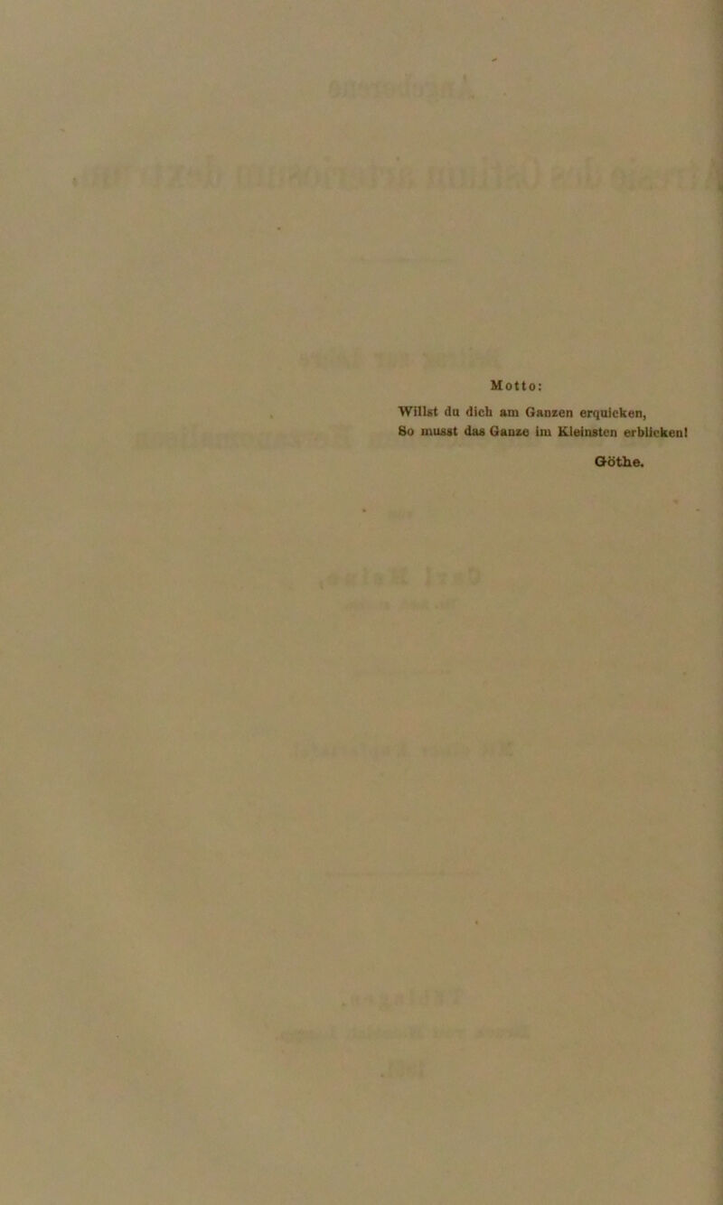 ./-=i»AT f-9 t. yi. I Motto; Willst da dich am Ganzen erquicken, 8o musst das Ganze im Kieinsten erblicken I Göthe.