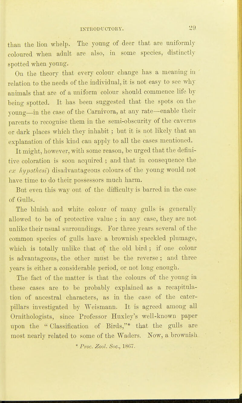 than the lioii whelp. The young of deer that are uniformly coloured when adult are also, in some species, distinctly spotted when young. On the theory that every colour change has a meaning in relation to the needs of the individual, it is not easy to see why animals that are of a uniform colour should commence life by being spotted. It has been suggested that the spots on the young—in the case of the Carnivora, at any rate—enable their parents to recognise them in the semi-obscurity of the caverns or dark places which they inhabit ; but it is not likely that an explanation of this kind can apply to all the cases mentioned. It might, however, with some reason, be urged that the defini- tive coloration is soon acquired ; and that in consequence the cx hypothesi) disadvantageous colours of the young would not have time to do their possessors much harm. But even this way out of the difficulty is barred in the case of Gulls. The bluish and white colour of many gulls is generally allowed to be of protective value ; in any case, they are not unlike their usual surroundings. For three years several of the common species of gulls have a brownish speckled plumage, which is totally unlike that of the old bird ; if one colour is advantageous, the other must be the reverse ; and three years is either a considerable period, or not long enough. The fact of the matter is that the colours of the young in these cases are to be probably explained as a recapitula- tion of ancestral characters, as in the case of the cater- pillars investigated by Weismann. It is agreed among all Ornithologists, since Professor Huxley's well-known paper upon the  Classification of Birds,* that the gulls are most nearly related to some of the Waders. Now, a brownish * Proc. Zool. Soc, 18G7.