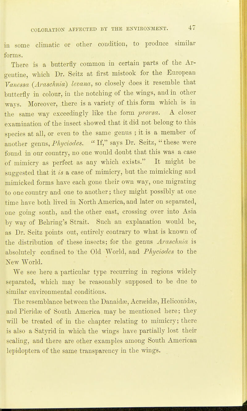 in some climatic or other couditiou, to produce similar forms. There is a butterfly common in certain parts of the Ar- gentine, which Dr. Seitz at first mistook for the European Vanessa (Arascknia) levana, so closely does it resemble that butterfly in colour, in the notching of the wings, and in other ways. Moreover, tliere is a variety of this form which is in the same way exceedingly like the form prorsa. A closer examination of the insect showed that it did not belong to this species at all, or even to the same genus ; it is a member of another genus, Phyciodes.  If, says Dr. Seitz,  these were found in our country, no one would doubt that this was a case of mimicry as perfect as any which exists. It might be suggested that it is a case of mimicry, but the mimicking and mimicked forms have each gone their own way, one migrating to one country and one to another; they might possibly at one time have both lived in North America, and later on separated, one going south, and the other east, crossing over into Asia by way of Behring's Strait. Such an explanation would be, as Dr. Seitz points out, entirely contrary to what is known of the distribution of these insects; for the genus Arascknia is absolutely confined to the Old World, and Phyciodes to the New World. We see here a particular type recurring in regions widely separated, which may be reasonably supposed to be due to similar environmental conditions. The resemblance between the Danaidte, Acrteidte, Helicouidai, and Pieridte of South America may be mentioned here; they will be treated of in the chapter relating to mimicry; there is also a Satyrid in which the wings have partially lost their scaling, and there are other examples among South American lepidoptera of the same transparency in the wings.