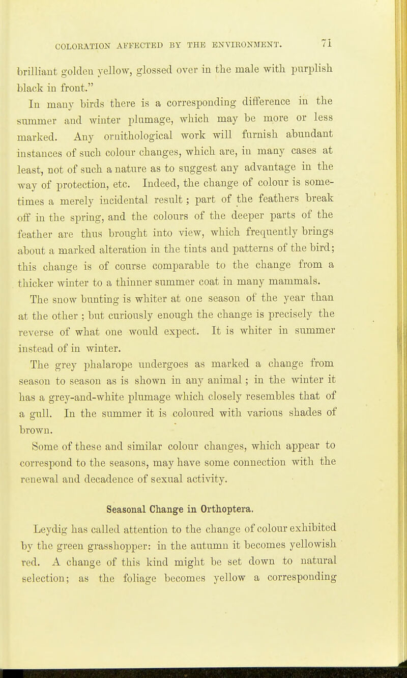 brilliant golden yellow, glossed over in the male with purplish black in front. In many birds there is a corresponding difference in the summer and winter plumage, which may be more or less marked. Any ornithological work will furnish abundant instances of such colour changes, which are, in many cases at least, not of such a nature as to suggest any advantage in the way of protection, etc. Indeed, the change of colour is some- times a merely incidental result; part of the feathers break off in the spring, and the colours of the deeper parts of the feather are thus brought into view, which frequently brings about a marked alteration in the tints and patterns of the bird; this change is of course comparable to the change from a thicker winter to a thinner summer coat in many mammals. The snow bunting is whiter at one season of the year than at the other ; but curiously enough the change is precisely the reverse of what one would expect. It is whiter in summer instead of in winter. The grey phalarope undergoes as marked a change from season to season as is shown in any animal ; in the winter it has a grey-and-white plumage which closely resembles that of a gull. In the summer it is coloured with various shades of brown. Some of these and similar colour changes, which appear to correspond to the seasons, may have some connection with the renewal and decadence of sexual activity. Seasonal Change in Orthoptera. Leydig has called attention to the change of colour exhibited by the green grasshopper: in the autumn it becomes yellowish red. A change of this kind might be set down to natural selection; as the foliage becomes yellow a corresponding