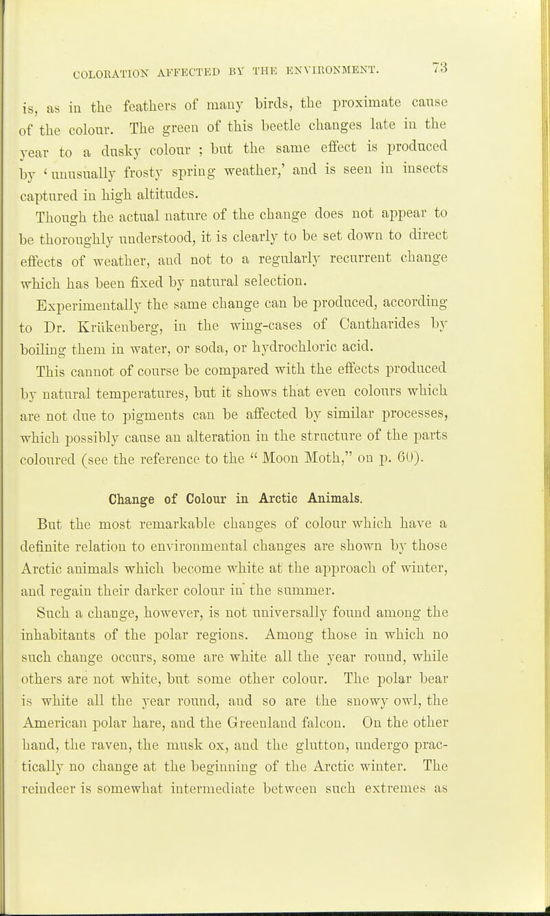 is, as in the feathers of many birds, the proximate canse of the colour. The green of this beetle changes late in the year to a dusky colour ; but the same effect is produced by 'unusually frosty spring weather,' and is seen in insects captured in high altitudes. Though the actual nature of the change does not appear to be thoroughly understood, it is clearly to be set down to direct effects of weather, and not to a regularly recurrent change which has been fixed by natural selection. Experimentally the same change can be produced, according to Dr. Ivriikenberg, in the wing-cases of Cantharides by boiling them in water, or soda, or hydrochloric acid. This cannot of course be compared with the effects produced by natural temperatures, but it shows that even coloxirs which are not due to pigments can be affected by similar processes, which possibly cause an alteration in the structure of the parts coloured (see the reference to the  Moon Moth, on p. 6U). Change of Colour in Arctic Animals. But the most remarkable changes of colour which have a definite relation to environmental changes are shown by those Arctic animals which become white at the approach of winter, and regain their darker colour in the summer. Such a change, however, is not universally foimd among the inhabitants of the polar regions. Among those in which no such change occurs, some are white all the year round, while others are not white, but some other colour. The polar bear is white all the year round, and so are the snowy owl, the American polar hare, and the Greenland falcon. On the other hand, the raven, the musk ox, and the glutton, undergo prac- tically no change at the beginning of the Arctic winter. The reindeer is somewhat intermediate between such extremes as