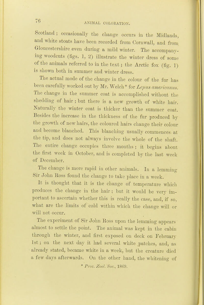 Scotlaud ; occasionally the change occurs in the Midlands, and white stoats have been recorded from Cornwall, and from Gloucestershire even during a mild winter. The accompany- ing woodcuts (figs. 1, 2) illustrate the winter dress of some of the animals referred to in the text; the Arctic fox (fig. 1) is shown both in summer and winter dress. The actual mode of the change in the colour of the fur has been carefully worked out by Mr. AVelch* for Lepus americanus. The change in the summer coat is accomijlished without the shedding of hair ; but there is a new growth of white hair. Naturally the winter coat is thicker than the summer coat. Besides the increase in the thickness of the fur produced by the growth of new hairs, the coloured hairs change their colour and become blanched. This blanching usually commences- at the tip, and does not always involve the whole of the shaft. The entire change occupies three months ; it begins about the first week in October, and is completed by the last week of December. The change is more rapid in other animals. In a lemmino- Sir John Eoss found the change to take place in a week. It is thought that it is the change of temperature which produces the change in the hair ; but it would be very im- portant to ascertain whether this is really the case, and, if so, what are the hmits of cold within which the change will or will not occur. The experiment of Sir John Eoss upon the lemming ajDpears almost to settle the point. The animal was kept in the cabin through the winter, and first exposed ou deck on February 1st; on the next day it had several white .patches, and, as already stated, became white in a week, but the creature died a few days afterwards. On the other hand, the whitening of • Proc. Zool. Soc, 18G9.