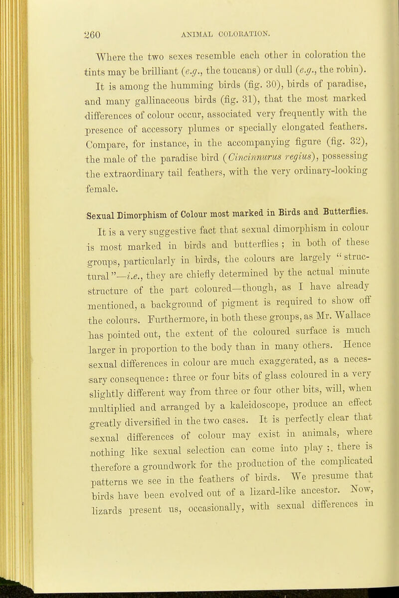 Wliere tlie two sexes resemble each other in coloration the tints may be brilliant {e.g., the toucans) or dull {e.g., the robin). It is among the humming birds (fig. 30), birds of paradise, and many gallinaceous birds (fig. 31), that the most marked differences of colour occur, associated very frequently with the presence of accessory plumes or specially elongated feathers. Compare, for instance, in the accompanying figure (fig. 32), the male of the paradise bird {Cincinmorus regius), possessing the extraordinary tail feathers, with the very ordinary-looking female. Sexual Dimorphism of Colour most marked in Birds and Butterflies. It is a very suggestive fact that sexual dimorphism in colour is most marked in birds and butterflies ; in both of these groups, particularly in birds, the colours are largely  struc- tural —i.e., they are chiefly determined by the actual minute structure of the part coloured-though, as I have already mentioned, a background of pigment is required to show off the colours. Furthermore, in both these groups, as Mr. Wallace ias pointed out, the extent of the coloured surface is much larger in proportion to the body than in many others. Hence sexual differences in colour are much exaggerated, as a neces- sary consequence: three or four bits of glass coloured in a very slightly diff-erent way from three or four other bits, will, when multiplied and arranged by a kaleidoscope, produce an efi-ect greatly diversified in the two cases. It is perfectly clear that Sexual differences of colour may exist in animals, where nothing like sexual selection can come into play ;. there is therefore a groundwork for the production of the complicated patterns we see in the feathers of birds. We presume that birds have been evolved out of a lizard-like ancestor. Now, lizards present us, occasionally, with sexual difi-erences m