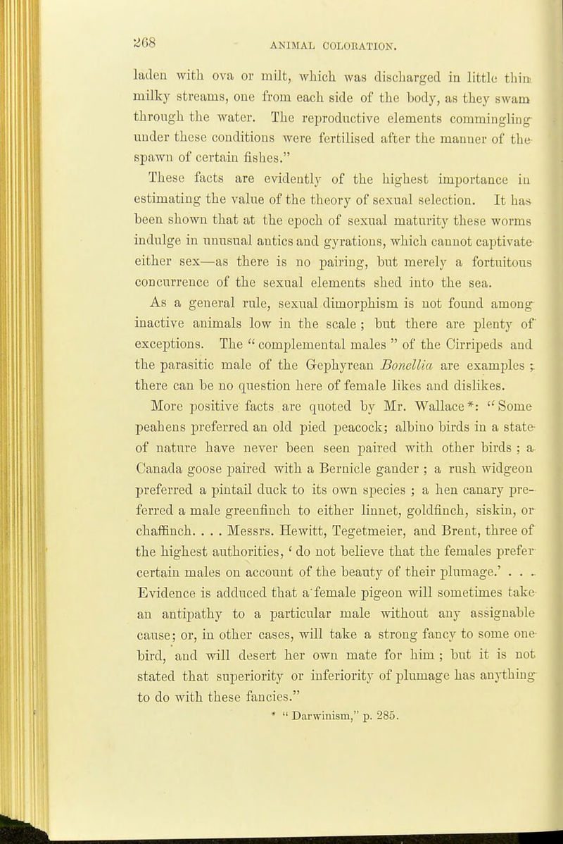 ^08 laden with ova or milt, which was discharged in little thin milky streams, one from each side of the body, as they swam through the water. The reproductive elements commingling^ under these conditions were fertilised after the manner of the spawn of certain fishes. These facts are evidently of the highest importance in estimating the value of the theory of sexual selection. It has been shown that at the epoch of sexual maturity these worms indulge in unusual antics and gyrations, which cannot captivate- either sex—as there is no pairing, but merely a fortuitous concurrence of the sexual elements shed into the sea. As a general rule, sexual dimorphism is not found among inactive animals low in the scale ; but there are plenty of exceptions. The complemental males of the Cirripeds and the parasitic male of the Gephyrean Bonellia are examples ;. there can be no question here of female likes and dislikes. More positive facts are quoted by Mr. Wallace*: Some peahens j)referred an old pied peacock; albino birds in a state- of nature have never been seen paired with other birds ; a Canada goose paired with a Bernicle gander ; a rush widgeon preferred a pintail duck to its own species ; a hen canary pre- ferred a male greenfinch to either linnet, goldfinch, siskin, or chaffinch. . . . Messrs. Hewitt, Tegetmeier, and Brent, three of the highest authorities, ' do not believe that the females j)refer certain males on account of the beauty of their plumage.' . . Evidence is adduced that a'female pigeon will sometimes take- an antipathy to a j)articular male without any assignable cause; or, in other cases, will take a strong fancy to some one- bird, and will desert her own mate for him ; but it is not stated that superiority or inferiority of plumage has anything- to do with these fancies. * Darwinism, p. 285.