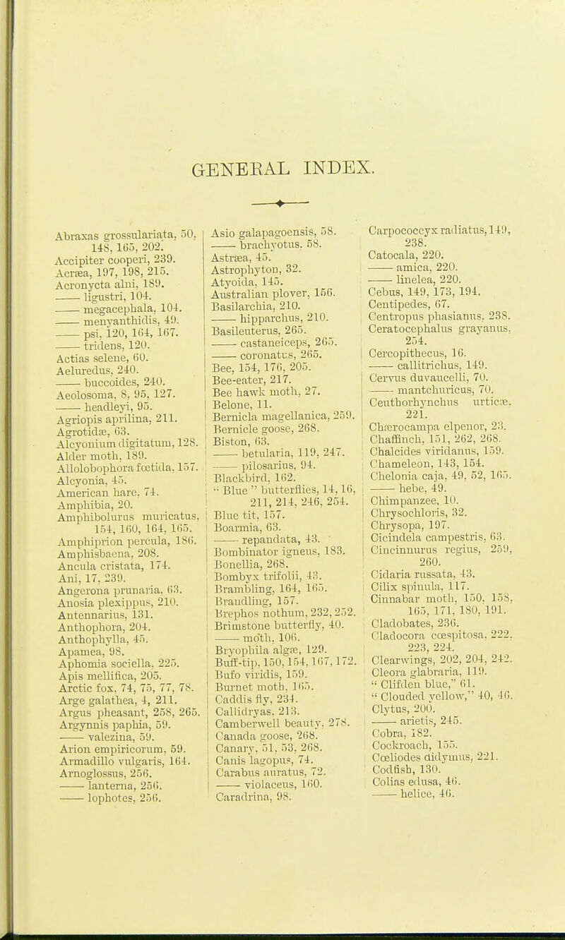 GENERAL INDEX. Abraxas grossulariata, 50, US, IG'o, 202. Accipiter coopcri, 239. Acraa, 197, 19S, 215. Acronycta alui, 189. ligustri, 104. megacephala, 10-1. meoyauthiclis, 49. psi. 120, Kil, 167. tridens, 120. Actias selene, tiO. Aeliu-edus, 240. buccoidcs, 240. Aeolosoma, 8, 95, 127. lieadleyi, 95. Agriopis aprilina, 211. Agrotidfe, 03. Alcyouium digitatuin, 128. Alder moth, 189. Allolobophorafoetida, 157. Alcyonia, 45. American hare, 74. Amphibia, 20. Amphibolnrus muricatus, 1.54, KiO, 164, 1(!5. Ampliiprion percula, 18(i. Amphisbaena, 208. Ancula cvistata, 174. Ani, 17, 239. Angci'ona prunaria. 63. Anosia plexippus, 210. Antennariiis, 131. Anthophora, 204. Anthophylla, 45. Apamea, 98. Aphomia sociella. 225. Apis mellifica, 205. Arctic fox. 74, 75, 77, 78. Arge galathea, 4, 211. Argus pheasant, 258, 265. Argynnis paphia, 59. . valezina, 59. Arion empiricorum, 59. Armadillo vulgaris, 164. Arnoglossus, 256. lanterna, 25(1. lophotes, 256. Asio galapagocnsis, 58. braohyotus, 58. Astrasa, 45. Astrophyton, 32. Atyoida, 145. Australian plover, 156. Basilarchia, 210. hipparclius, 210. Basileuterus, 265. castaneiceps, 265. I coronatus, 265. I Bee, 154, 176, 205. Bee-eater, 217. ' Bee hawk moth, 27. I Belone, 11. i Bernicla magellanica, 259. Bernicle goose, 268. I Biston, 63. ' betularia, 119, 247. pilosarius, 94. Blackbird. 162. I Blue butterflies, 14,16, I 211, 214, 246, 254. i Blue tit, 157. Boarmia, 63. repandata, 43. Bombinator igneus, 183. Bonellia, 268. Bombyx trlfolii, 43. [ Brambling, 164, 165. ' Braudlinsr, 157. Brephos nothura. 232, 252. Brimstone butterfly, 40. moth, 101). Bryopbila algai, 129. Buff-tip. 150,154,167,172. I Bufo viridis, 159. Burnet moth. 165. Caddis fly, 234. Callidryas. 213. Camberwell beauty, 278. Canada goose, 268. Canary, 51, 53. 268. I Canis lagopu?, 74. Carabns auratus, 72. violaceus, KiO. Caradrina, 98. Carpococcyx radiatus, 149, 238. Catocala, 220. amica, 220. linelea, 220. Cebus, 149, 173, 191. Centipedes, 67. Centropus phasiamis, 238. Ceratocephalns grayanus. 254. 1 Cercopithecus, 16. callitrichus, 149. Cervus duvaucelli, 70. mantchuricus, 70. Ceuthorhynchiis urticas. 221. Chrerocampa elpenor, 23. Chaffinch, 151, 262, 268. Chalcides -viridanus, 159. Chameleon, 143, 154. Chelonia caja, 49. 52, 165. bebe, 49. i Chimpanzee, 10. j Chrysochloris, 32. ; Chrysopa, 197. j Cicindela campestris, 63. j Cincinnurus regius, 259, 260. Cidaria russata, 43. I Cilix spinnla, 117. Cinnabar moth, 150. 158, 165. 171, 180, 191. Cladobates, 236. Cladocora ccespitosa. 222. 223, 224. Clearwings, 202, 204, 242. Cleora glabraria, 119. Clifilen blue,'' 61. •' Clouded yellow, 40, 46 Clytus, 200. arietis, 245. Cobra, 182. Cockroach, 155. Coeliodes didymus, 221. Codfish, 130. Colias edusa, 46. helice, 4().